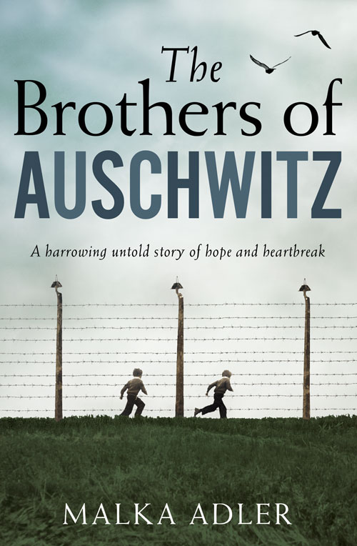 The Brothers of Auschwitz: The USA Today bestseller cover image