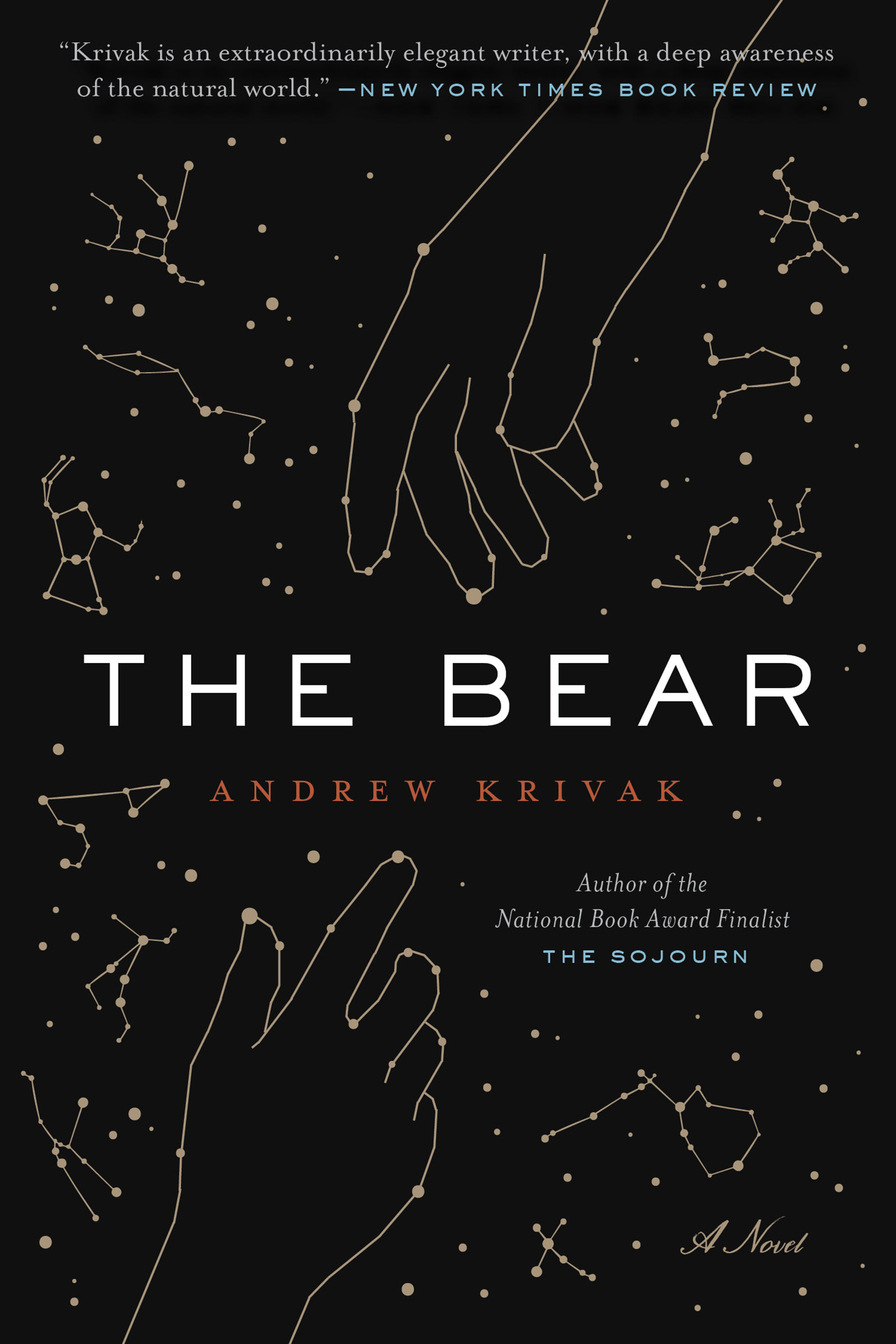 Cover image for The Bear [electronic resource] :