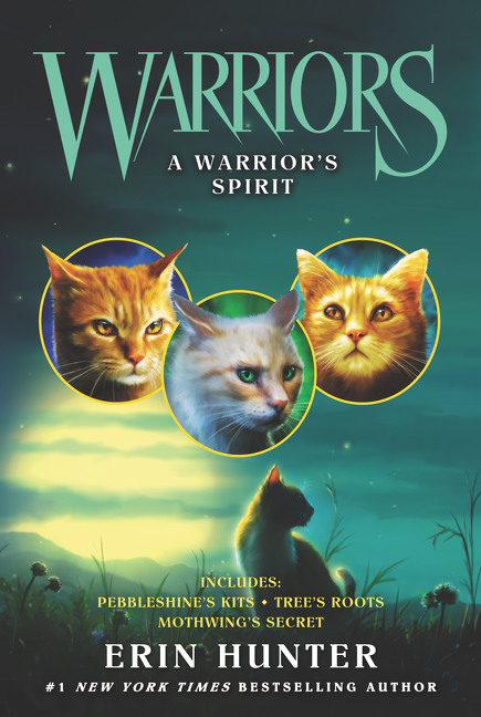 Warriors A warrior's spirit cover image
