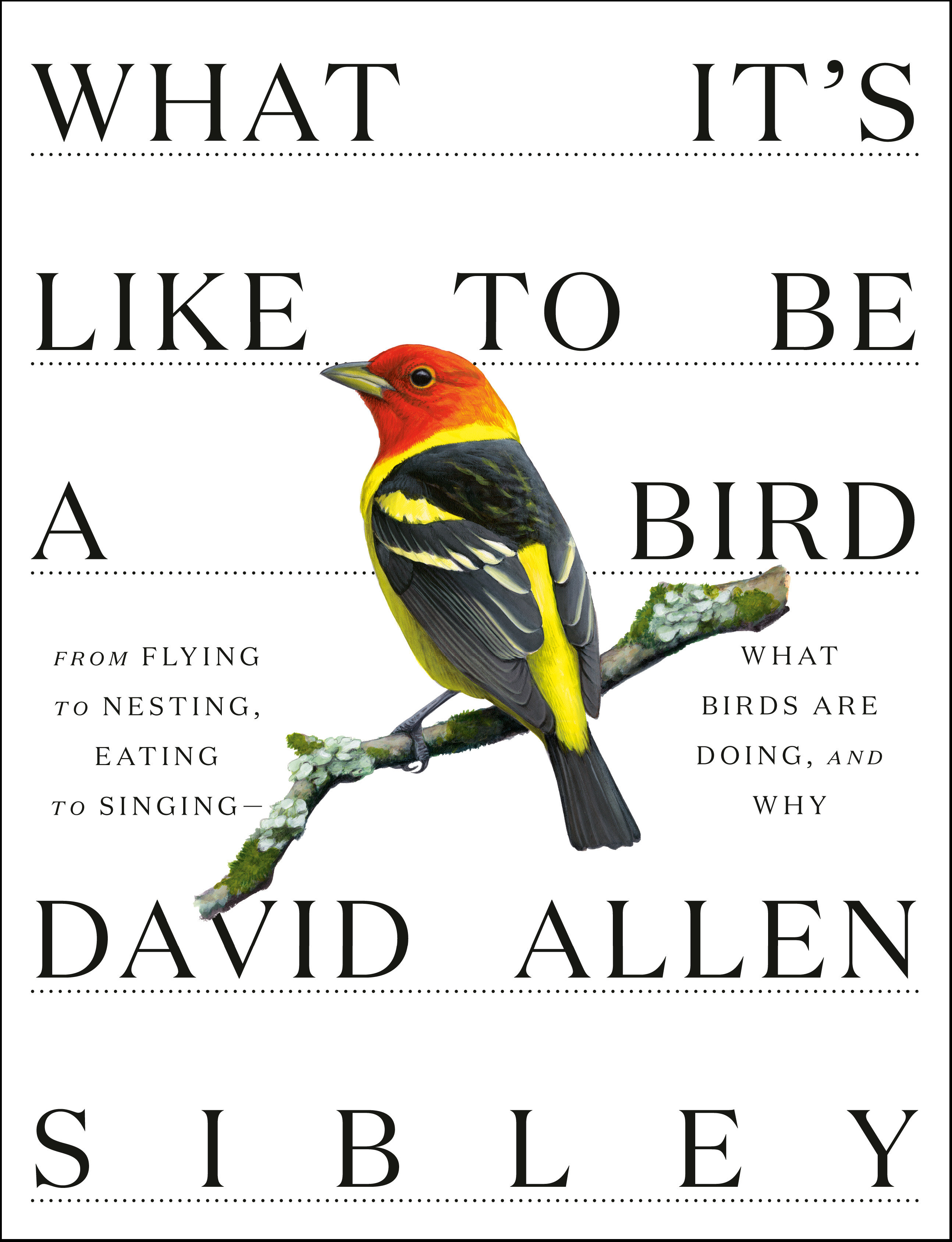 What It's Like to Be a Bird From Flying to Nesting, Eating to Singing--What Birds Are Doing, and Why cover image