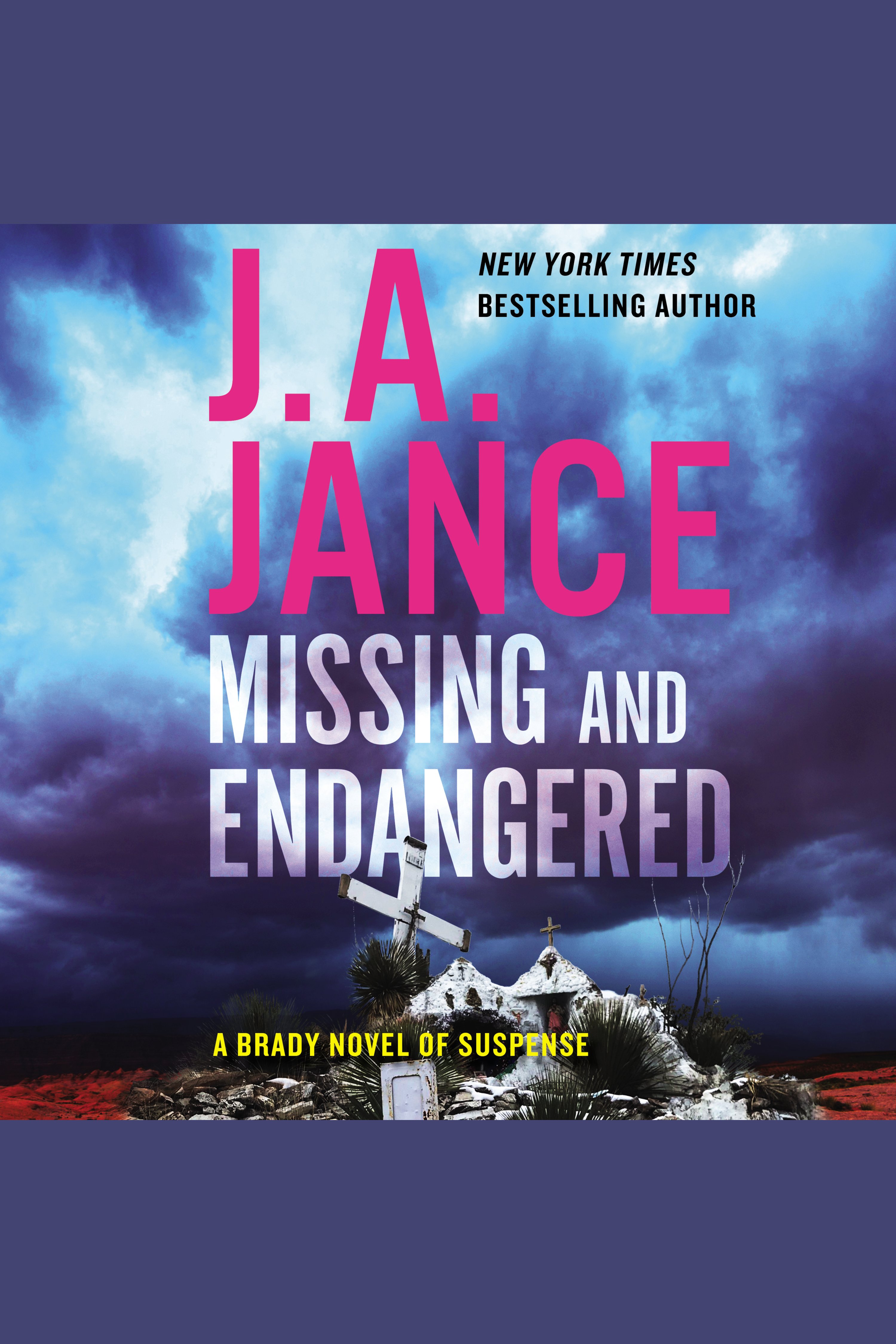 Cover image for Missing and Endangered [electronic resource] : A Brady Novel of Suspense