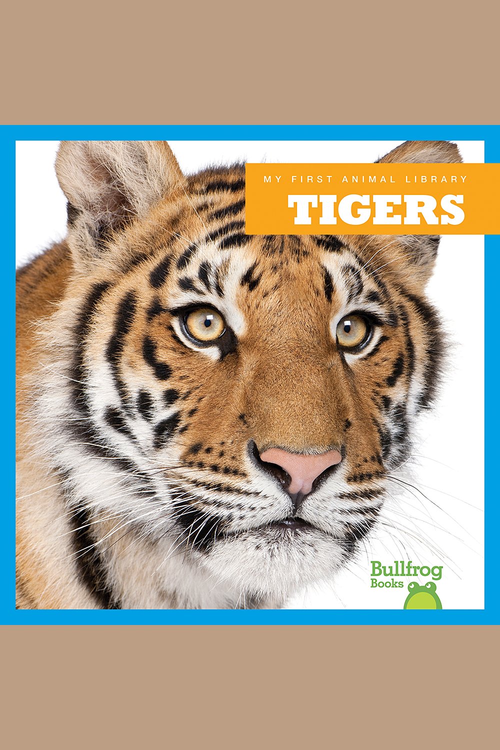 Tigers