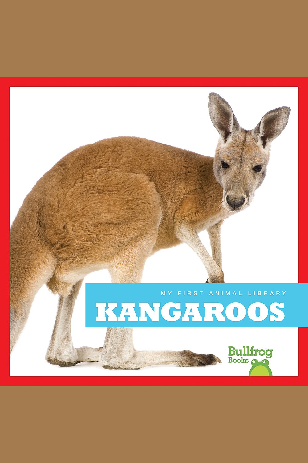 Kangaroos