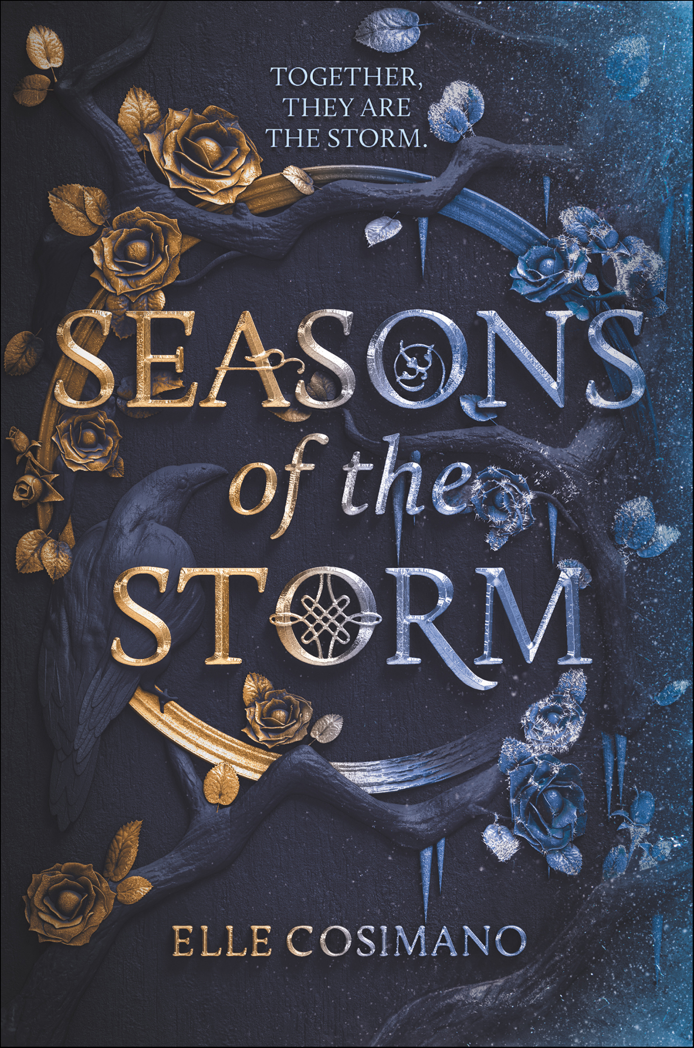 Seasons of the Storm cover image