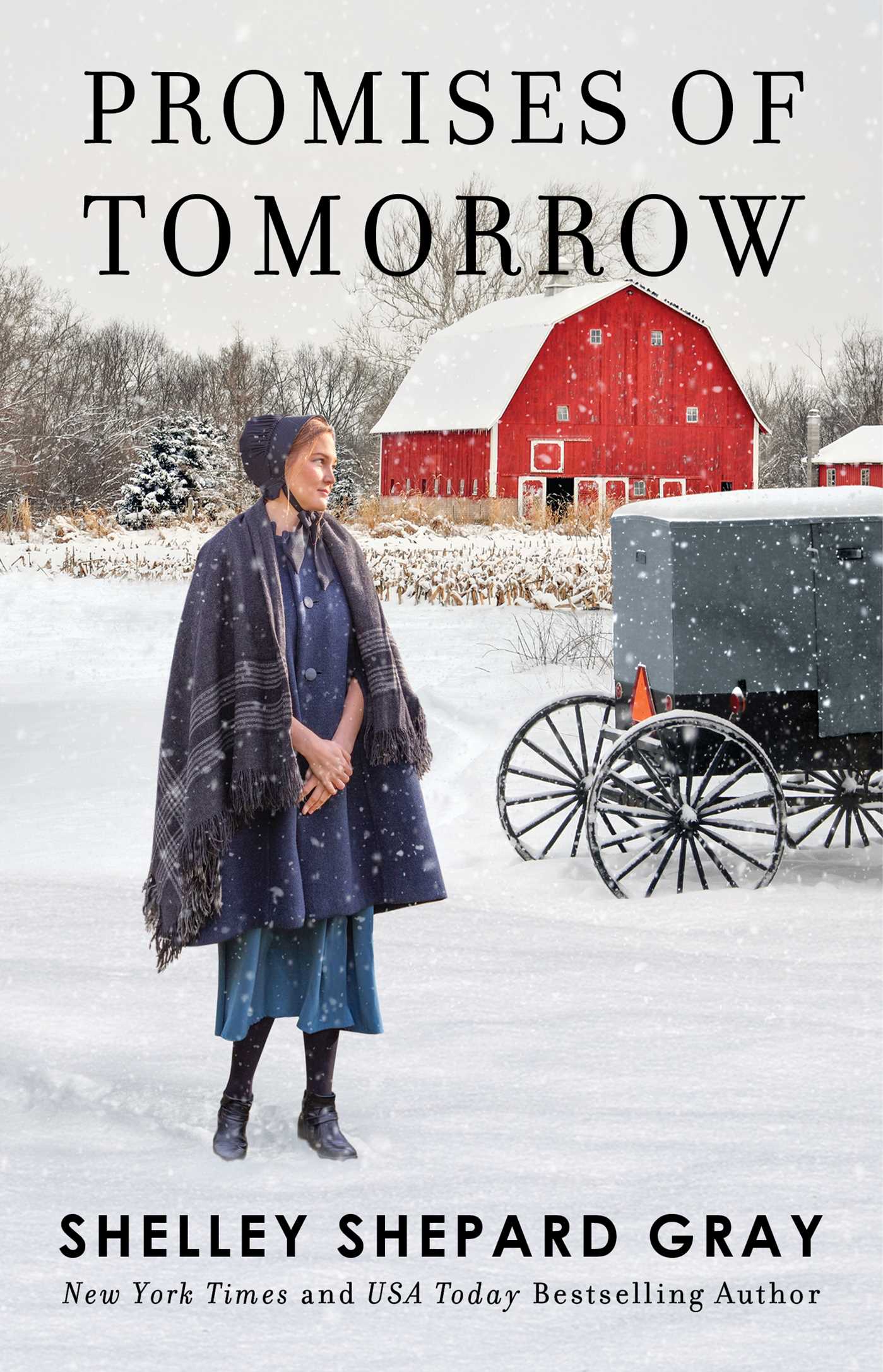 Imagen de portada para Promises of Tomorrow [electronic resource] :