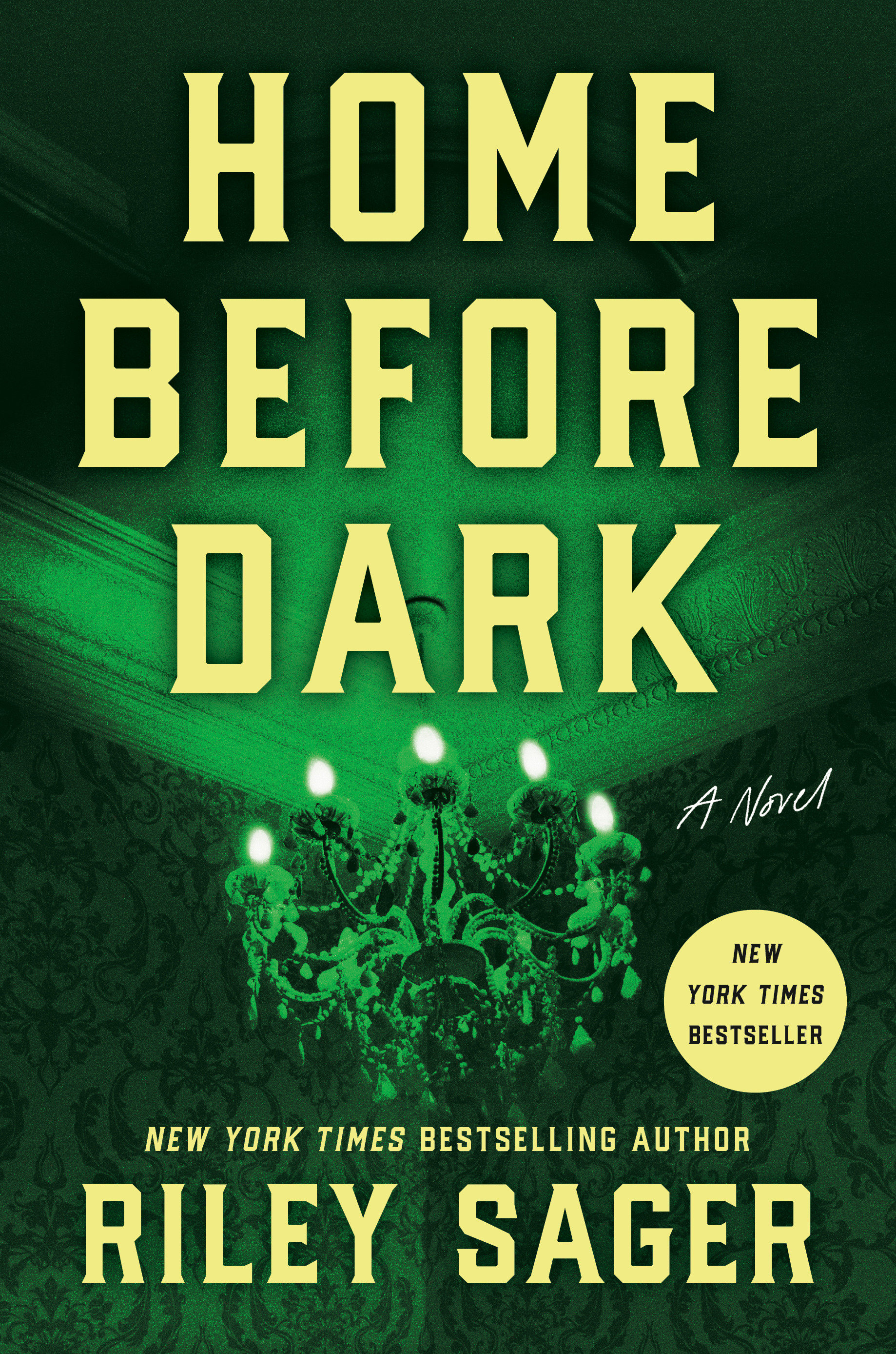 Cover image for Home Before Dark [electronic resource] : A Novel