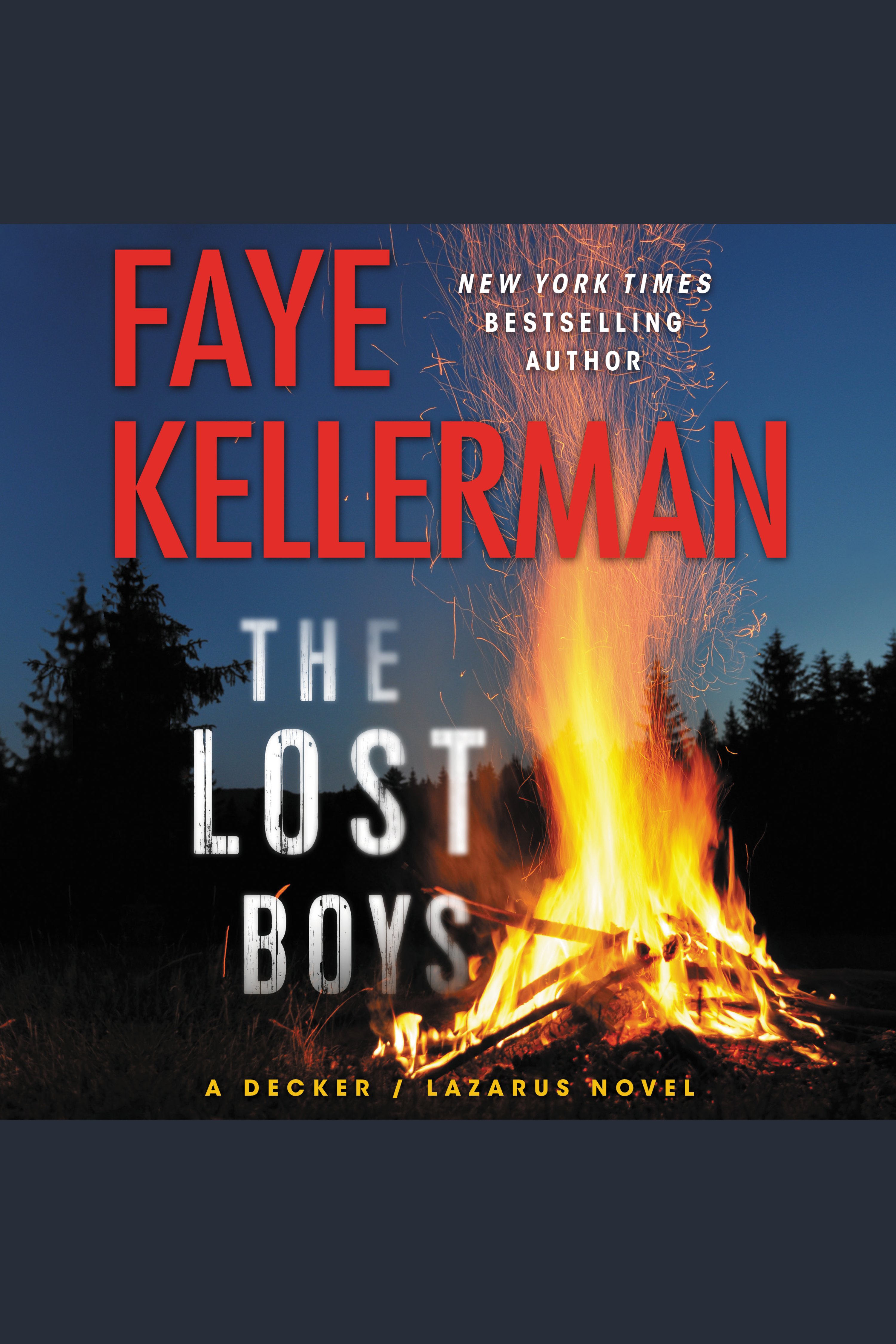 Imagen de portada para The Lost Boys [electronic resource] : A Decker/Lazarus Novel