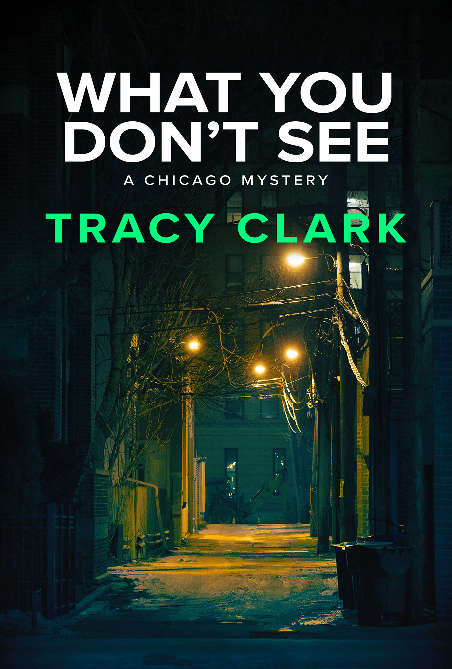Image de couverture de What You Don't See [electronic resource] :