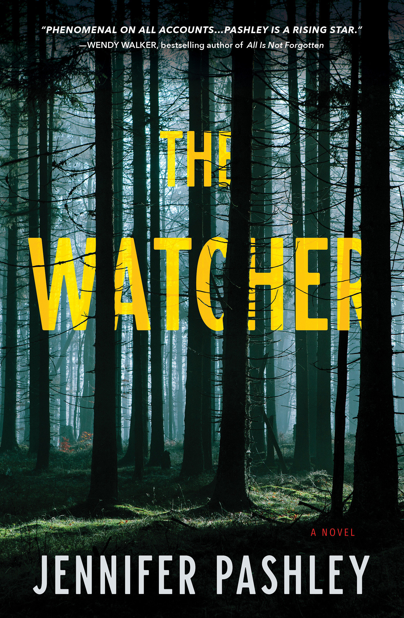 Cover image for The Watcher [electronic resource] : A Novel