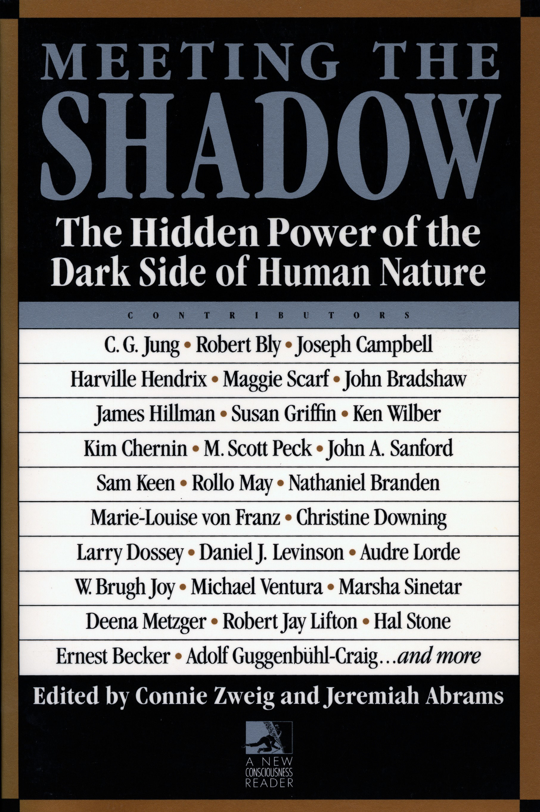 Meeting the Shadow cover image