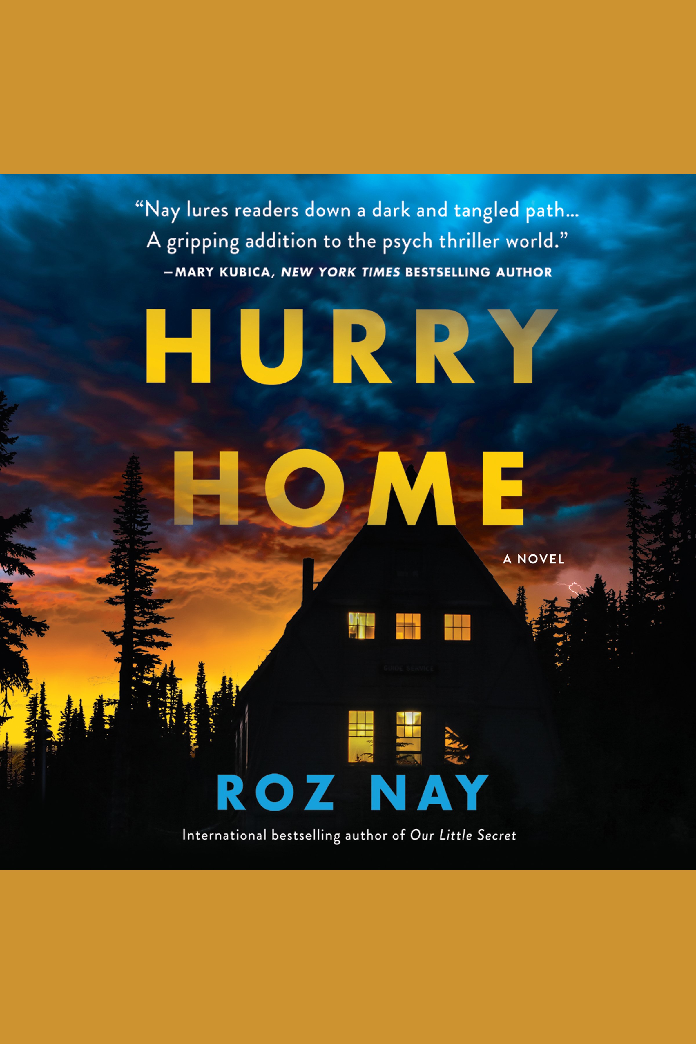 Umschlagbild für Hurry Home [electronic resource] : A Novel