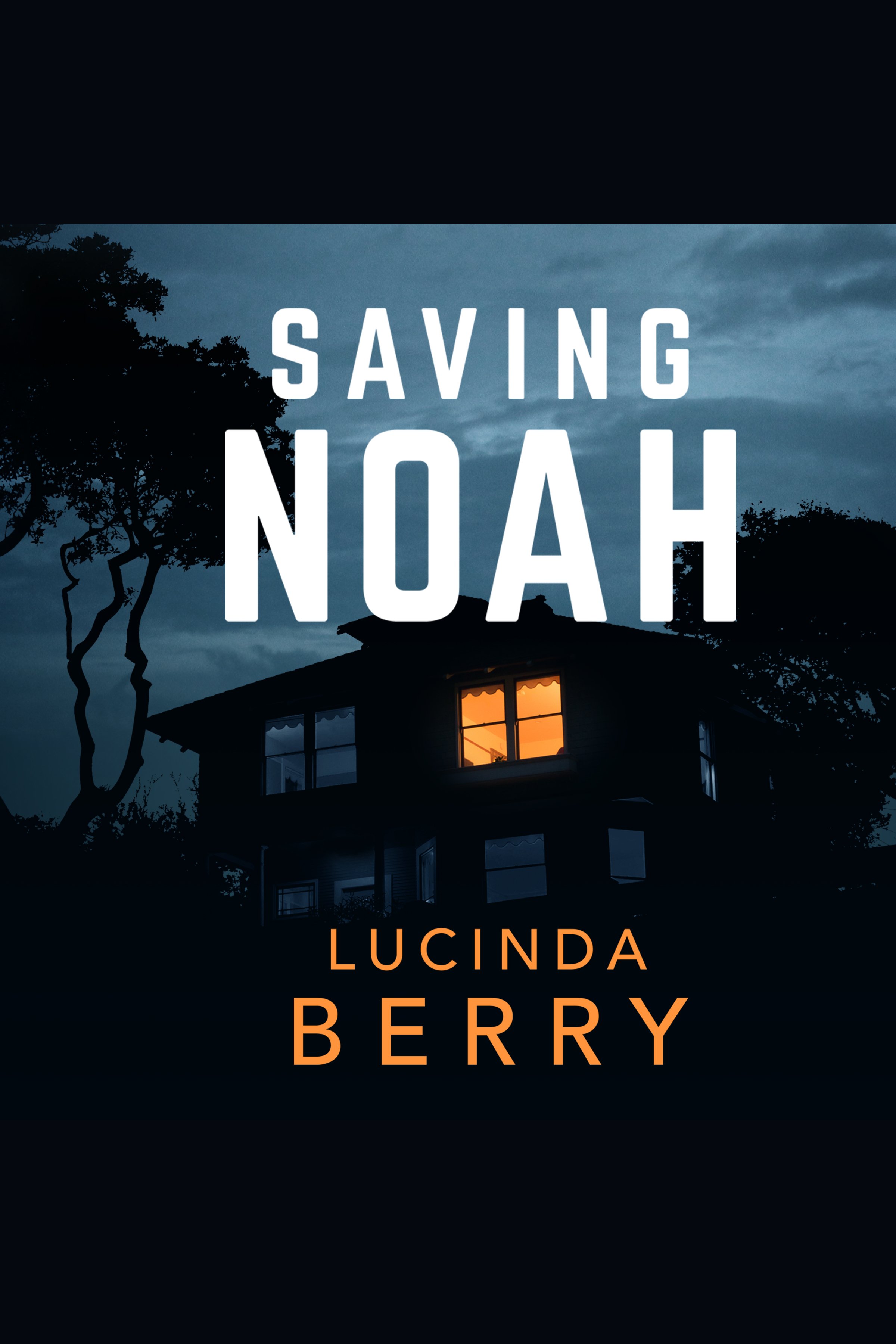Cover image for Saving Noah [electronic resource] :