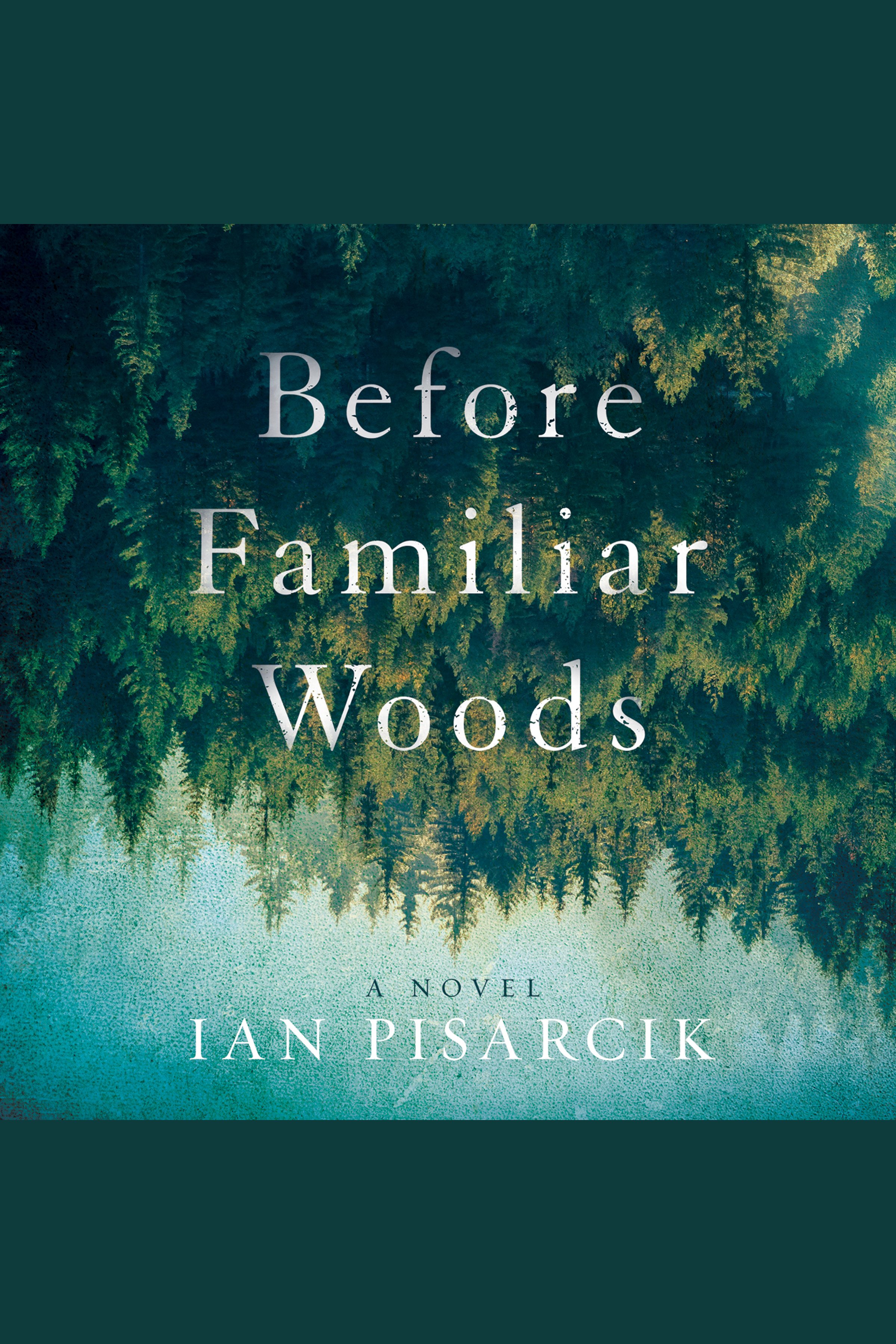 Cover image for Before Familiar Woods [electronic resource] : A Novel