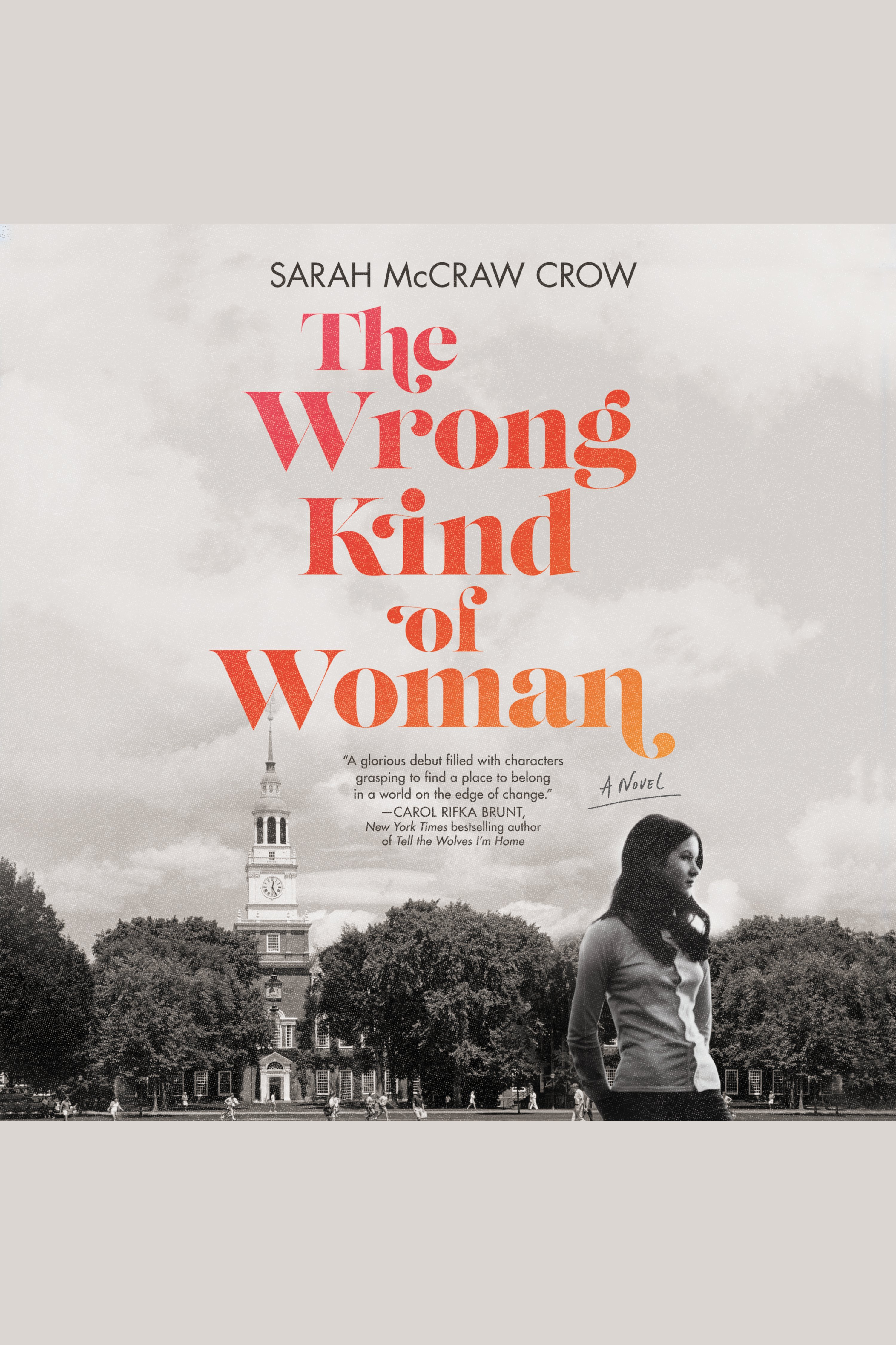 Cover image for Wrong Kind of Woman, The [electronic resource] : A Novel