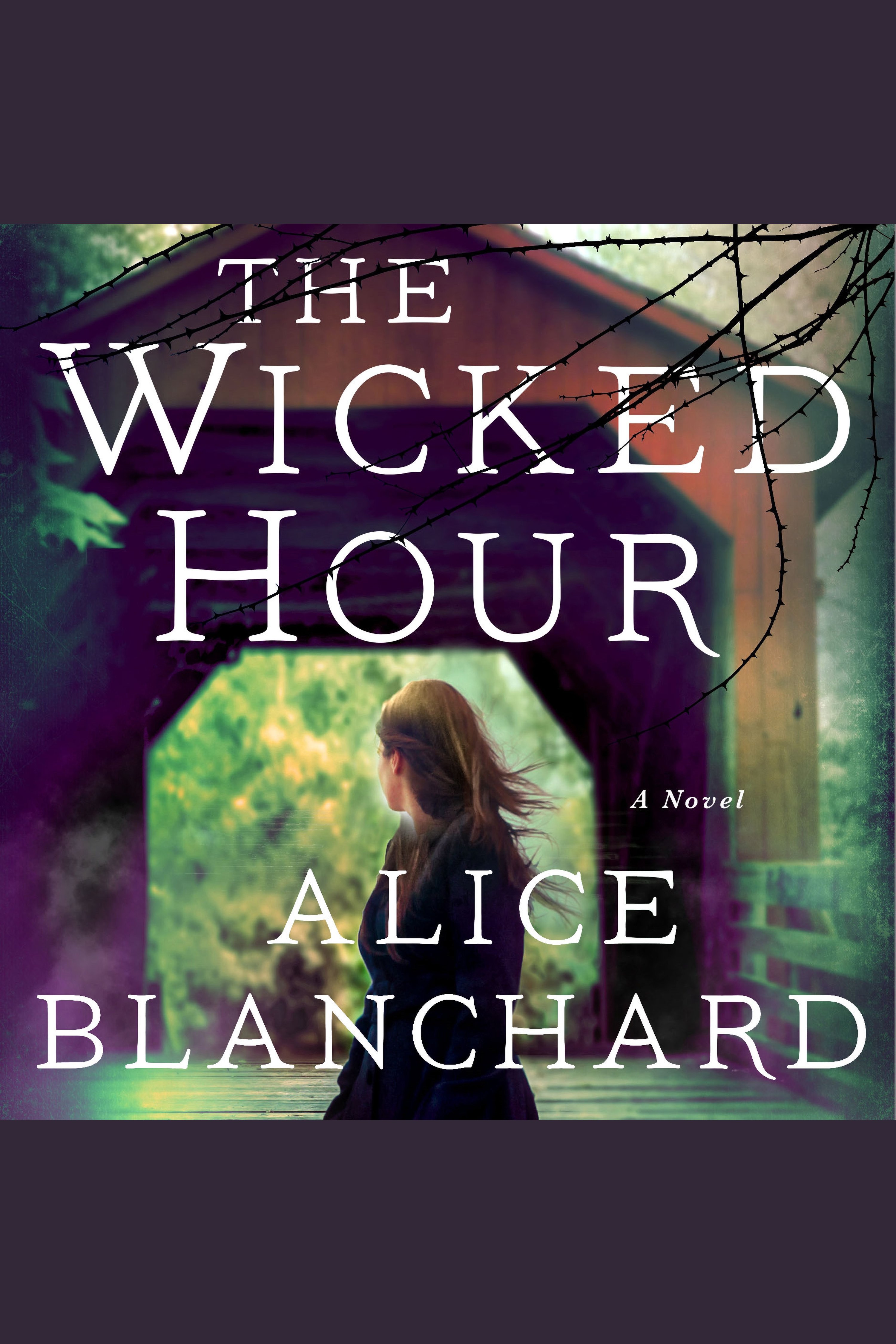 Cover image for Wicked Hour, The [electronic resource] : A Natalie Lockhart Novel