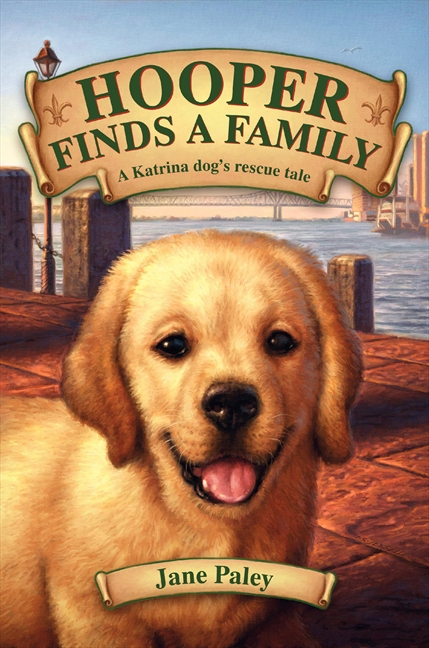 Cover image for Hooper Finds a Family [electronic resource] : A Hurricane Katrina Dog's Survival Tale