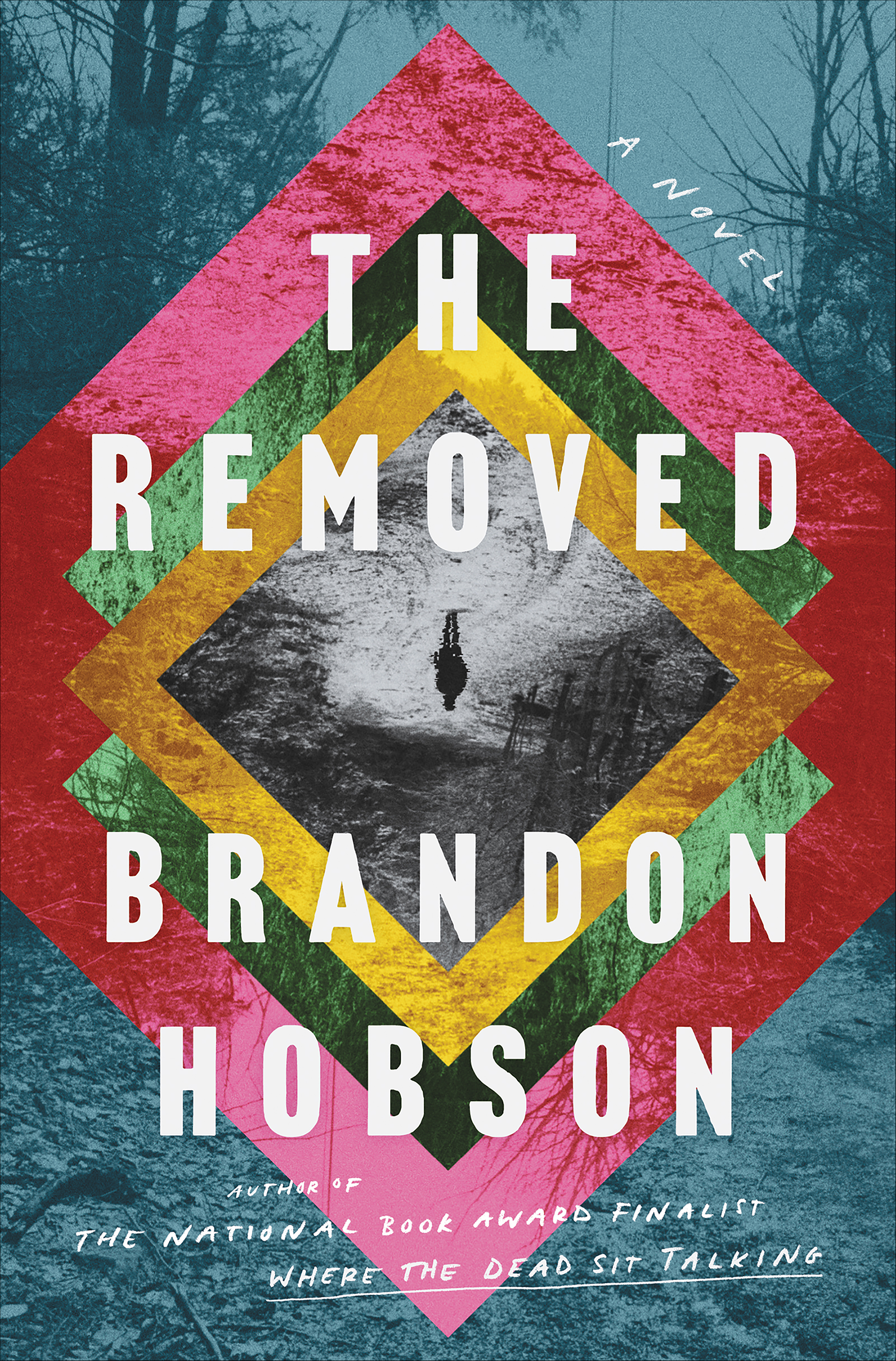 Cover image for The Removed [electronic resource] : A Novel