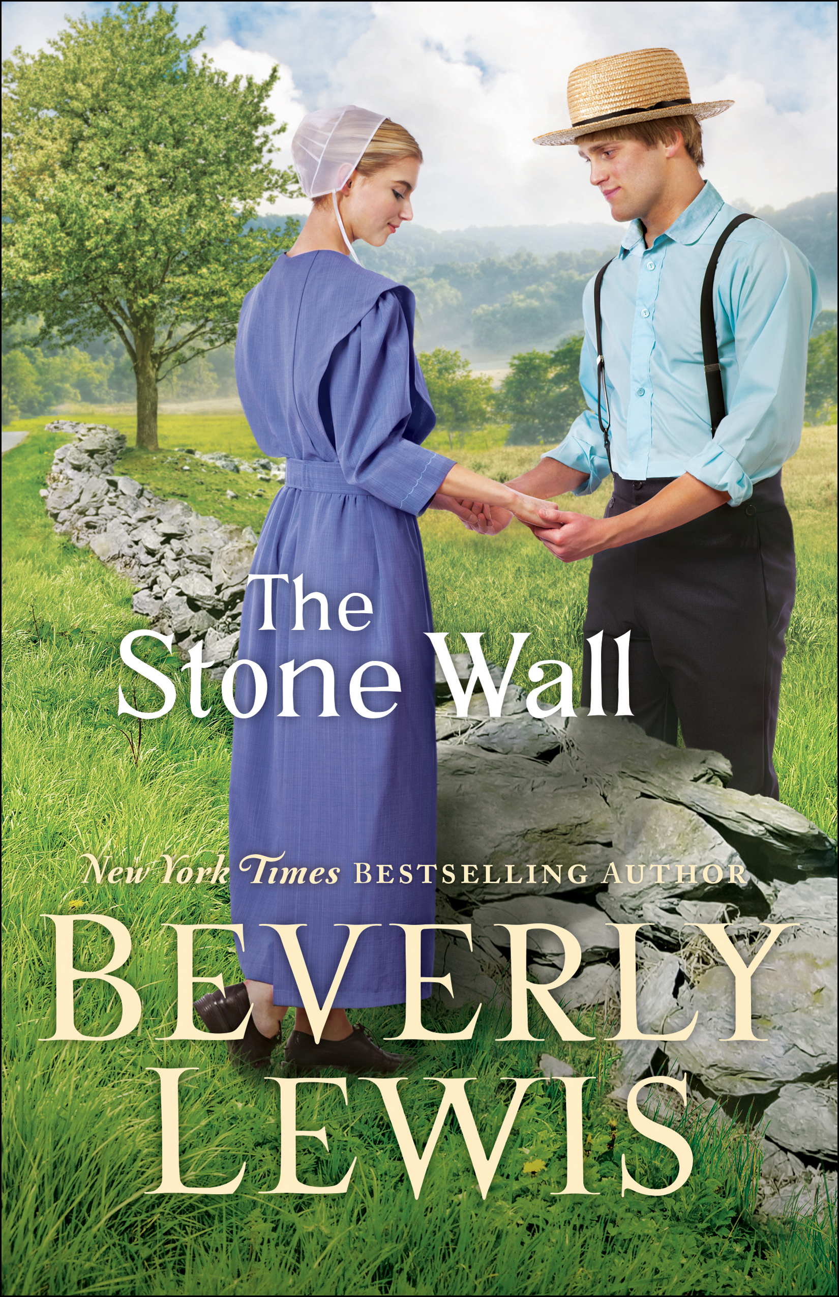 Cover image for The Stone Wall [electronic resource] :