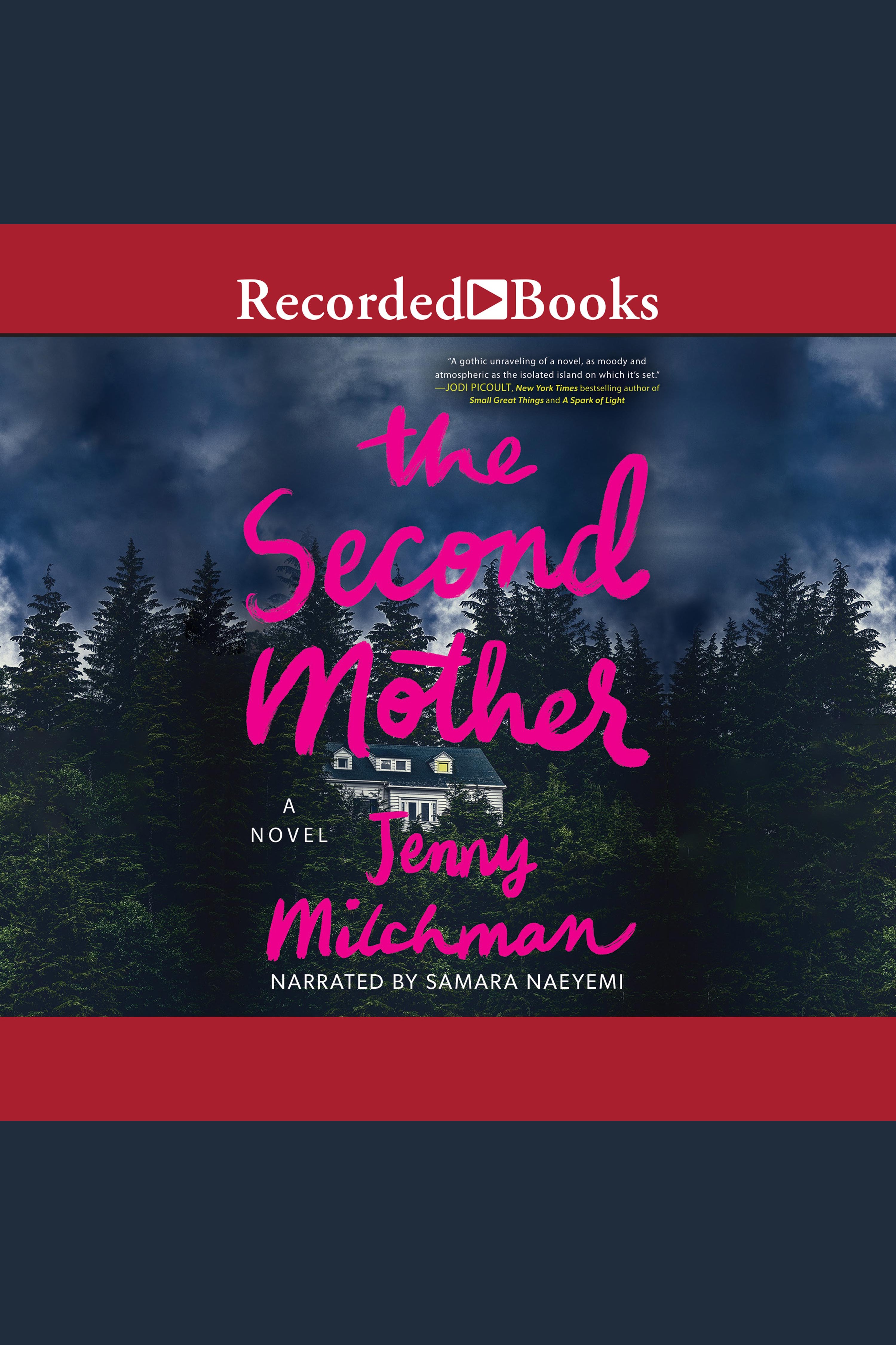 Cover image for Second Mother, The [electronic resource] :