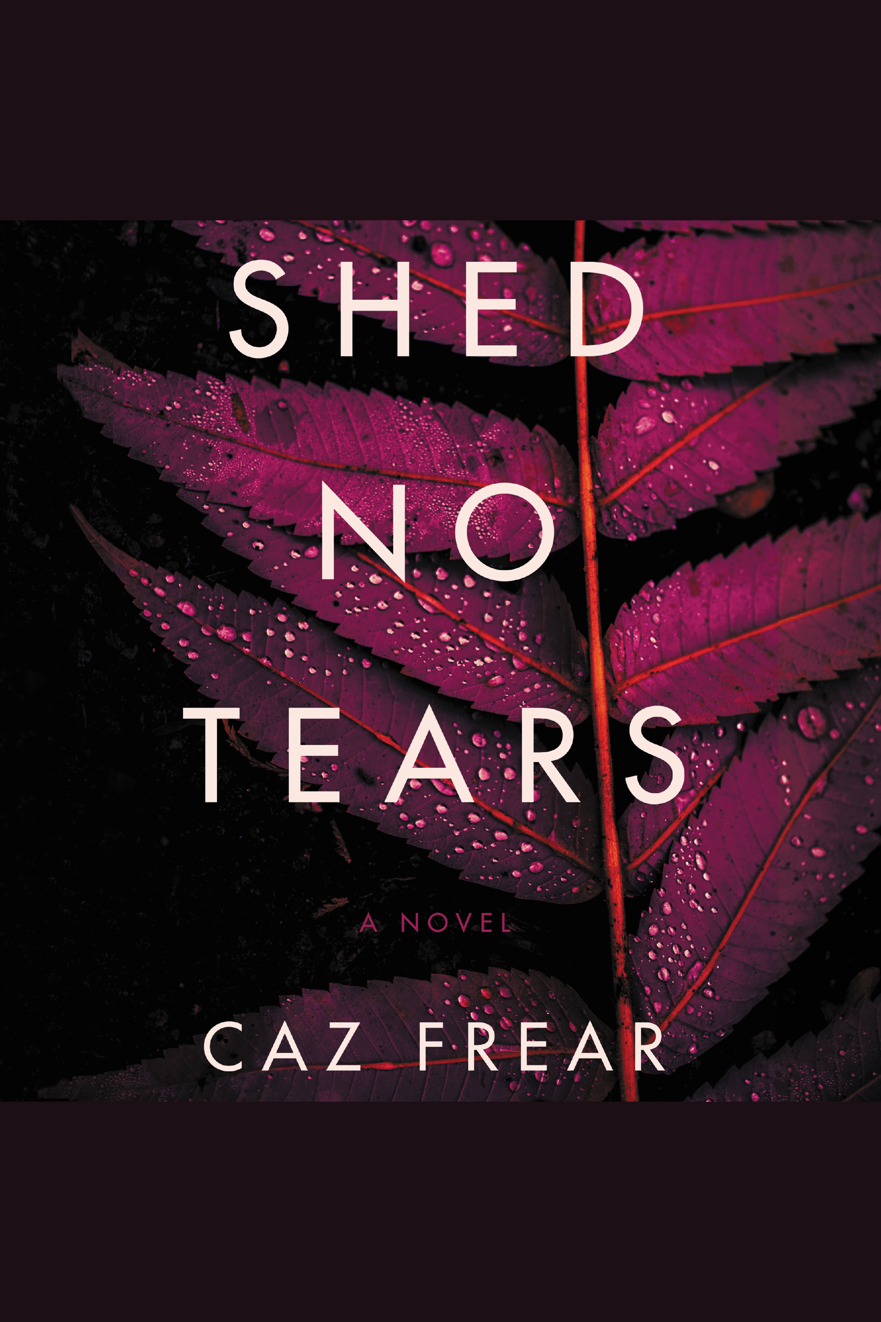 Umschlagbild für Shed No Tears [electronic resource] : A Novel