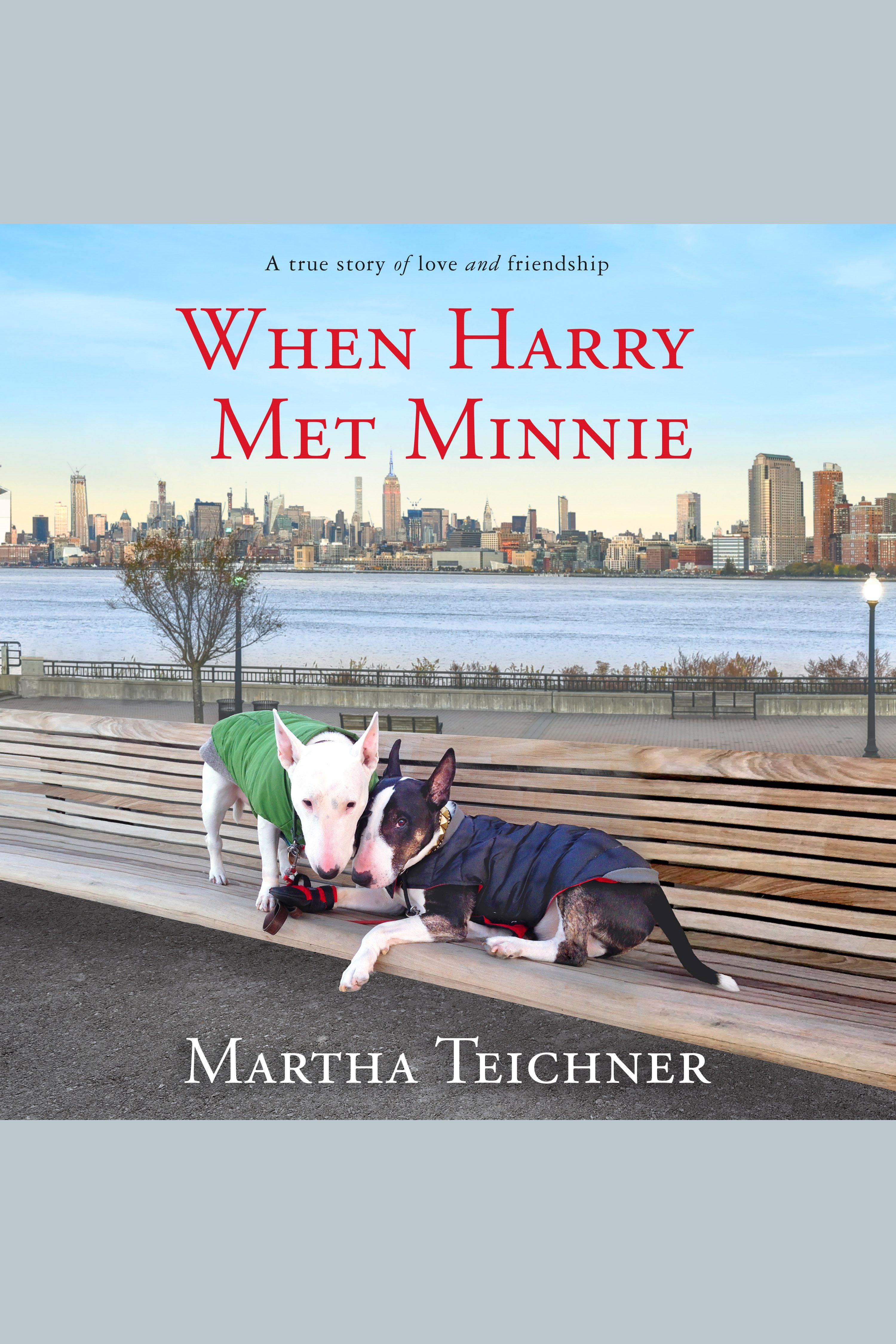 When Harry Met Minnie A True Story of Love and Friendship cover image