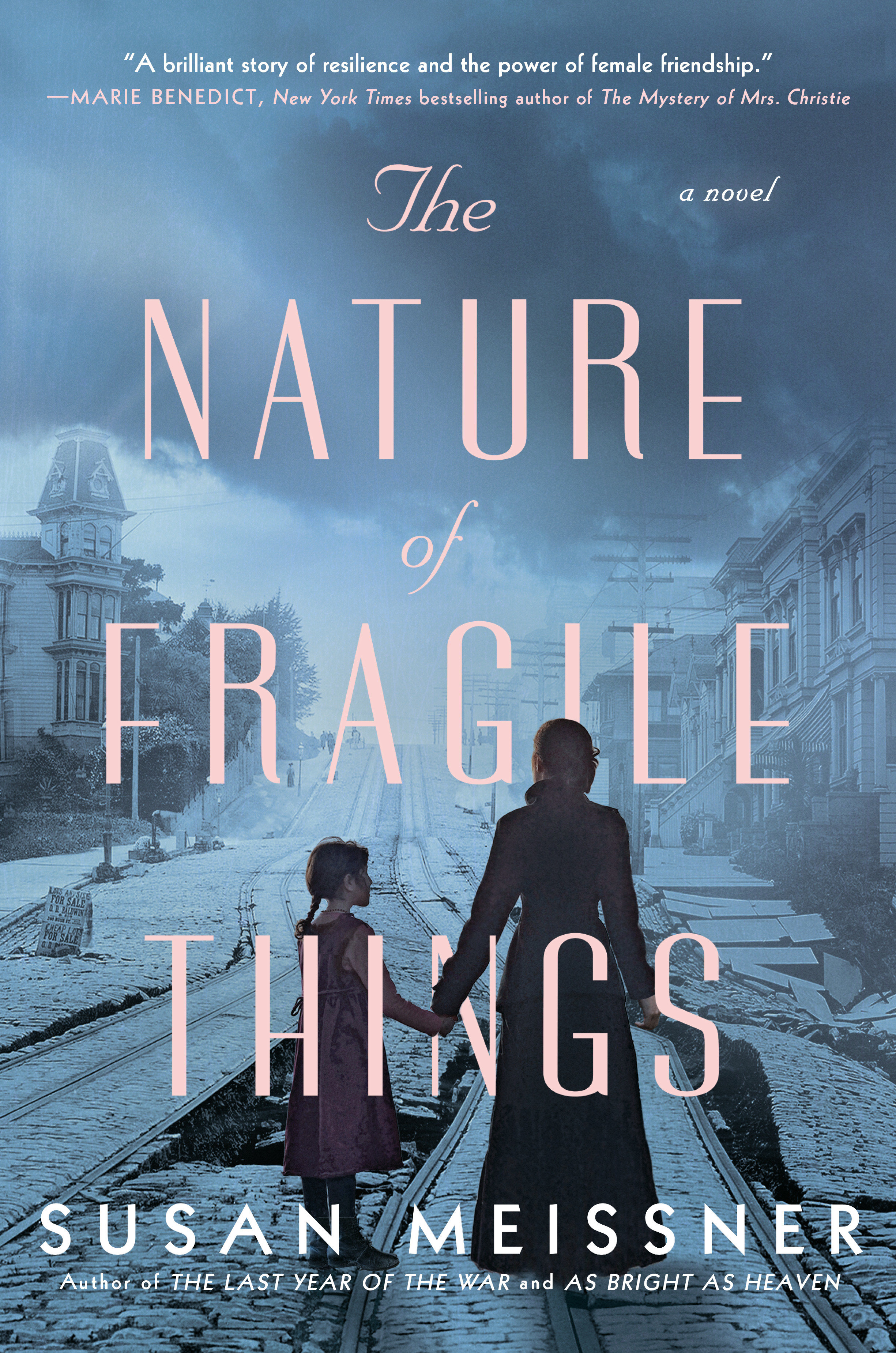 Image de couverture de The Nature of Fragile Things [electronic resource] :