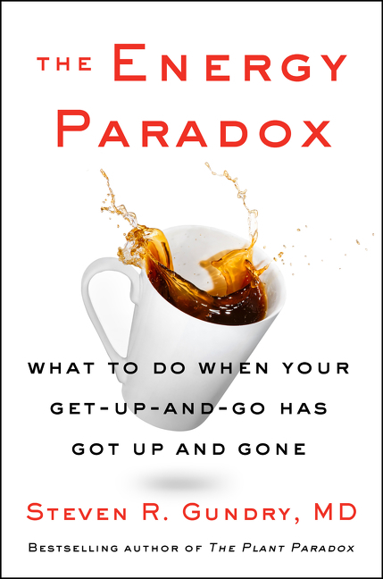 Image de couverture de The Energy Paradox [electronic resource] : What to Do When Your Get-Up-and-Go Has Got Up and Gone