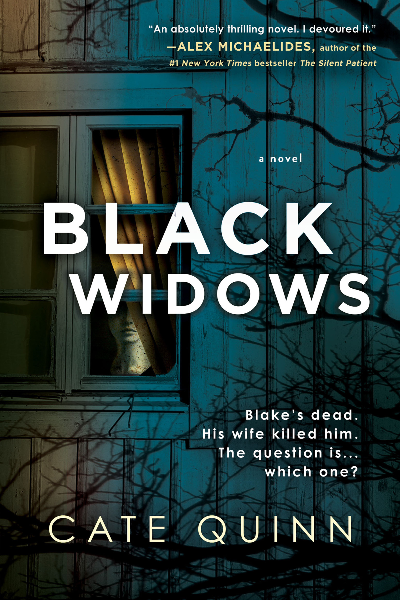 Image de couverture de Black Widows [electronic resource] :