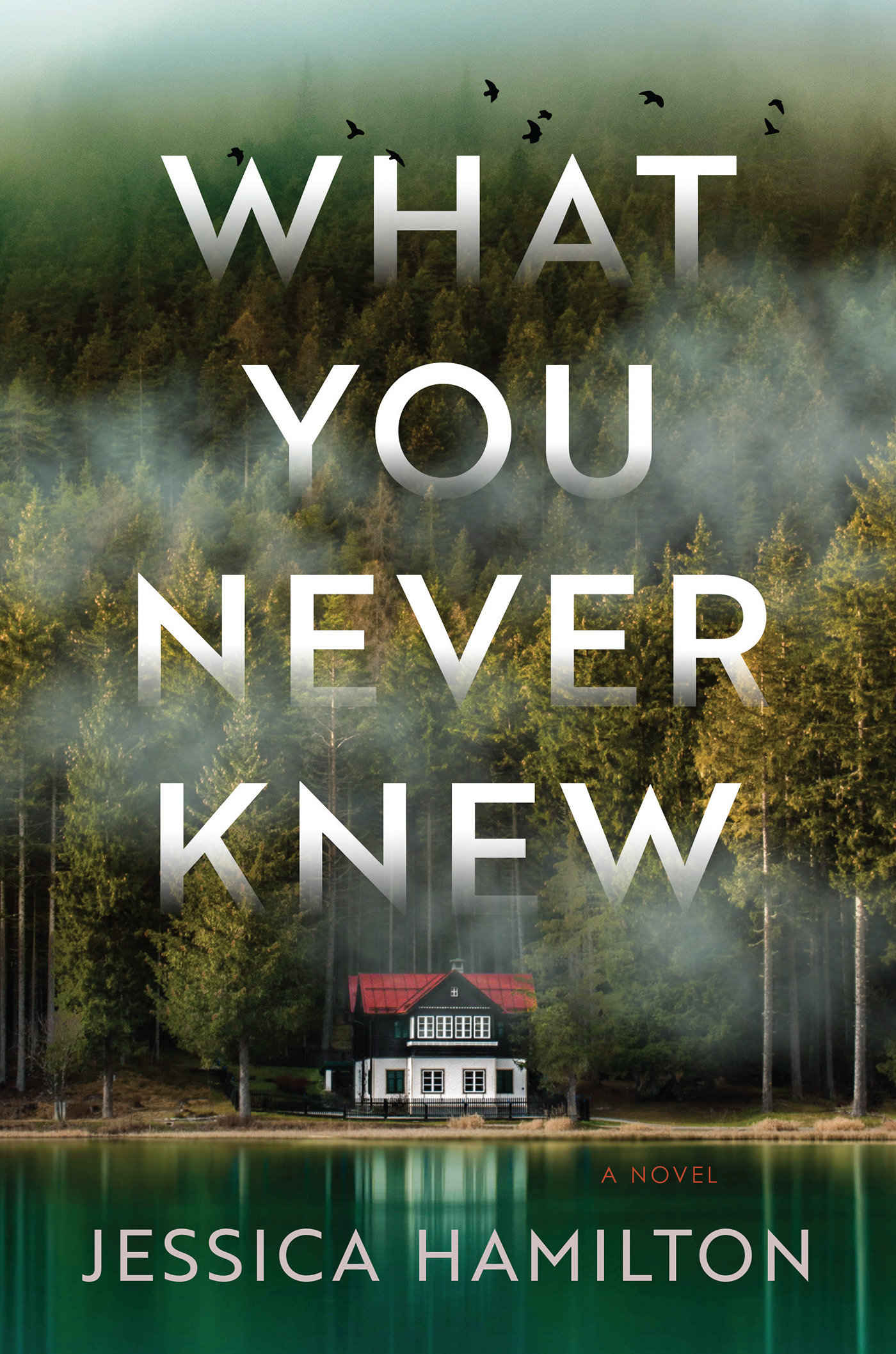 Cover image for What You Never Knew [electronic resource] : A Novel