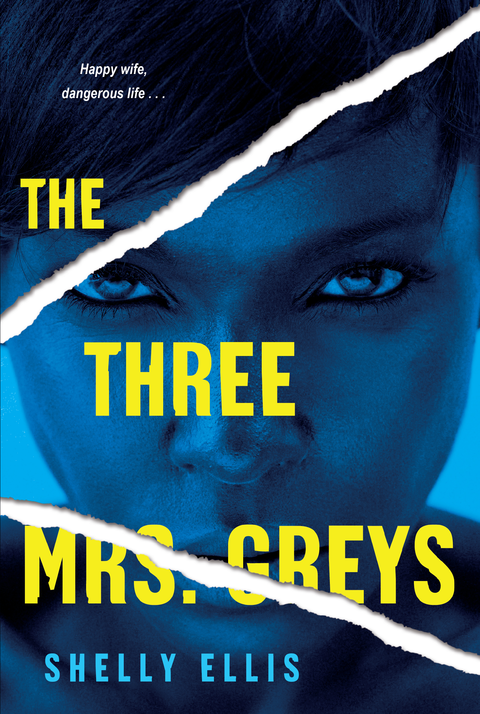 The Three Mrs. Greys cover image