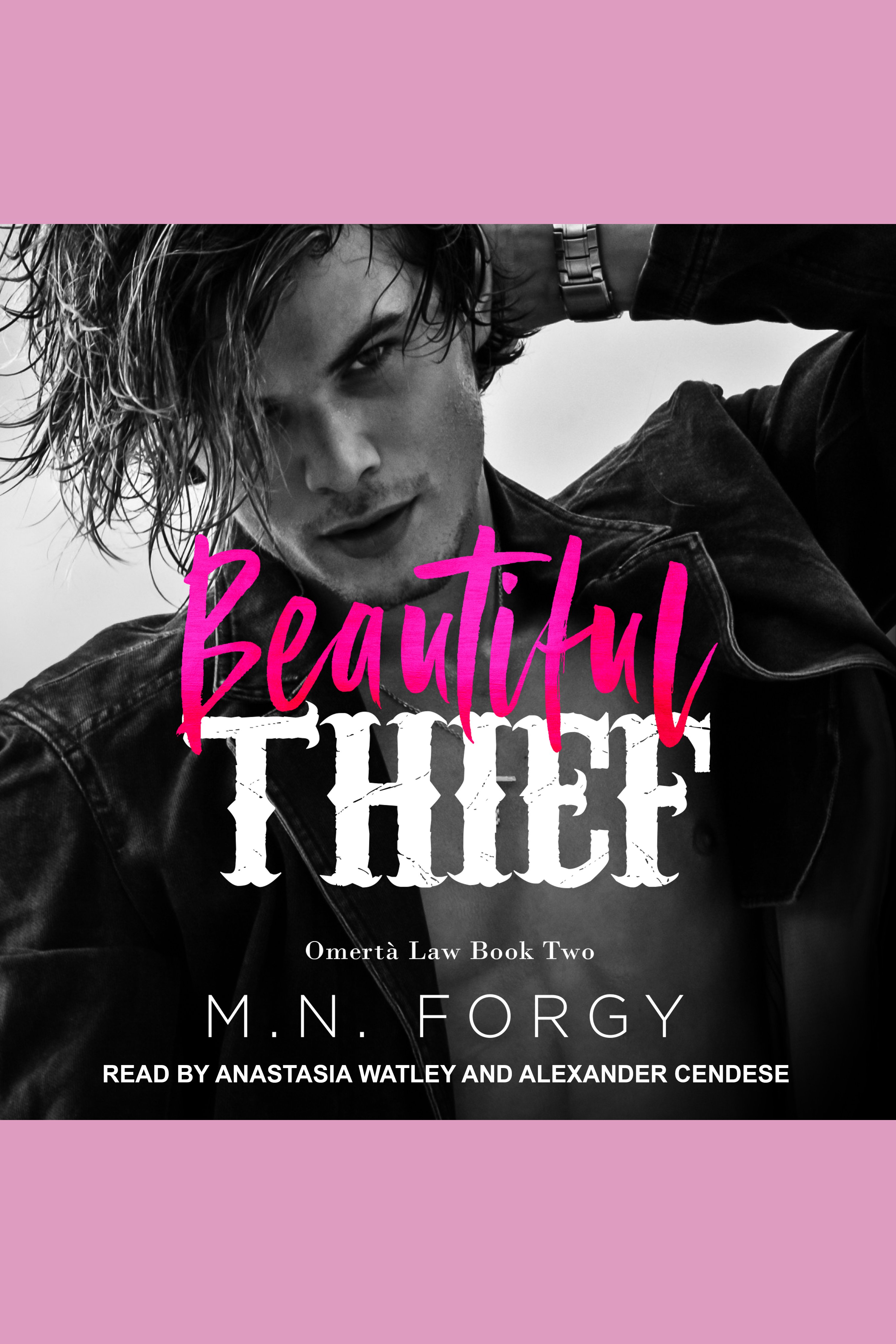 Beautiful Thief cover image