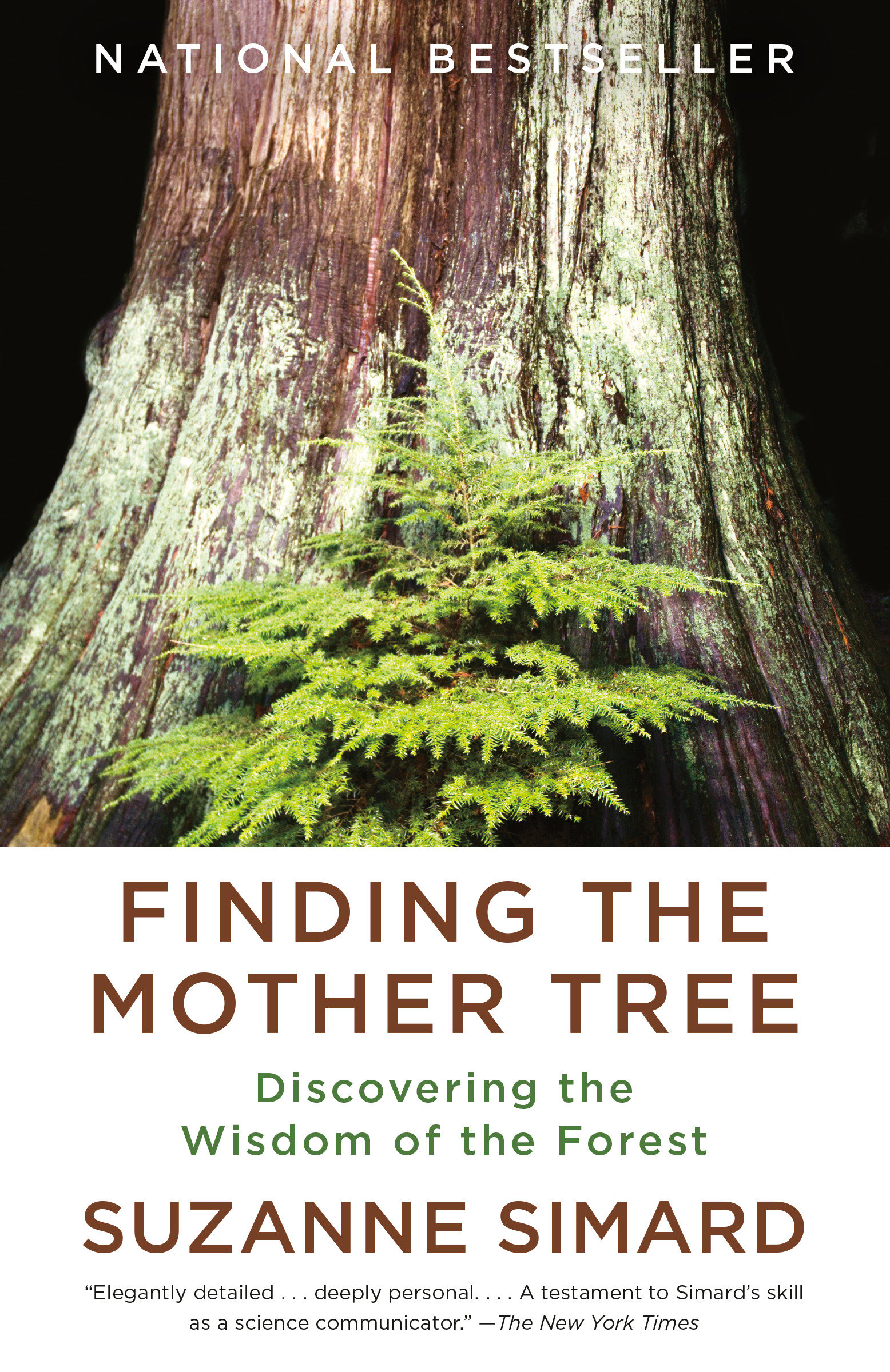 Finding the Mother Tree Discovering the Wisdom of the Forest cover image
