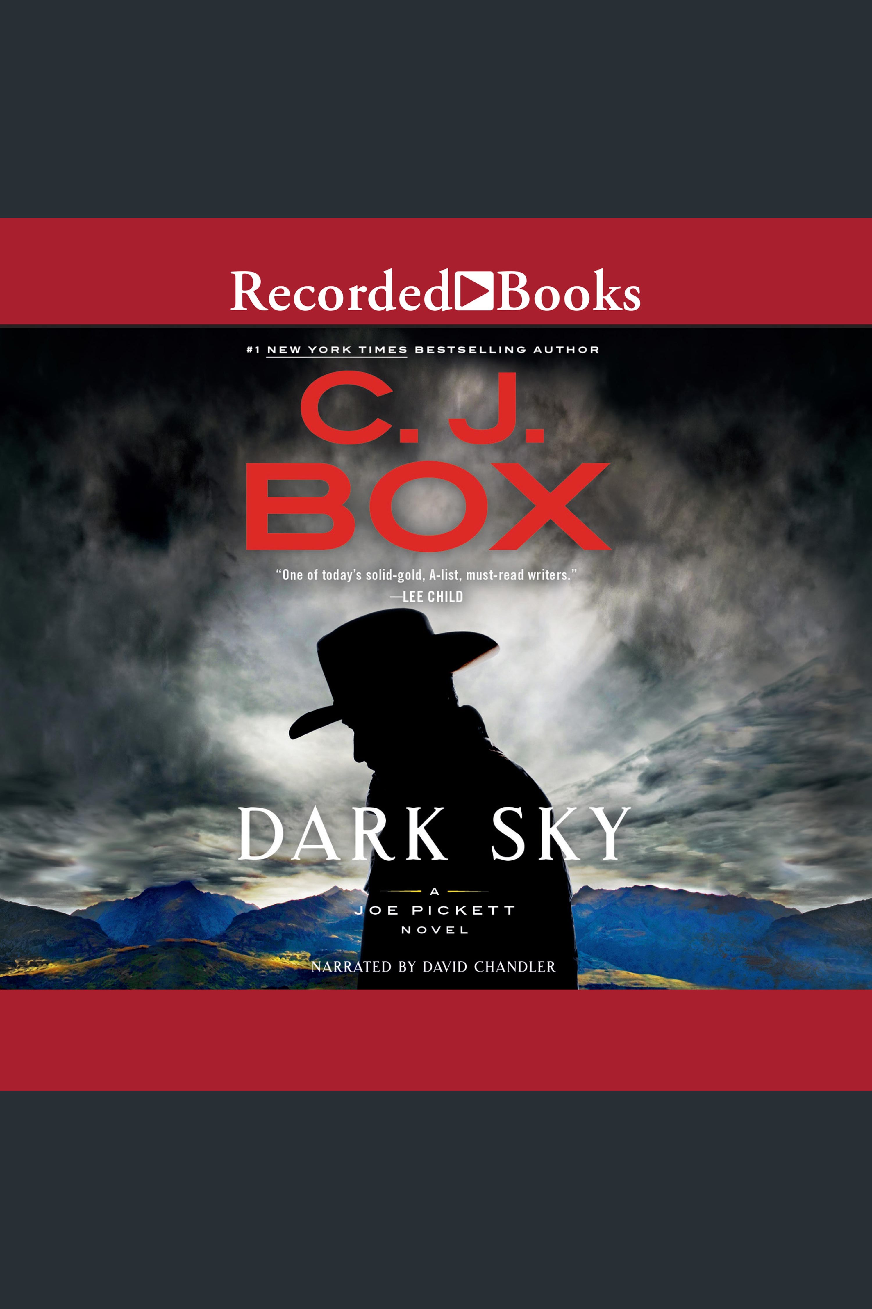 Cover image for Dark Sky [electronic resource] :