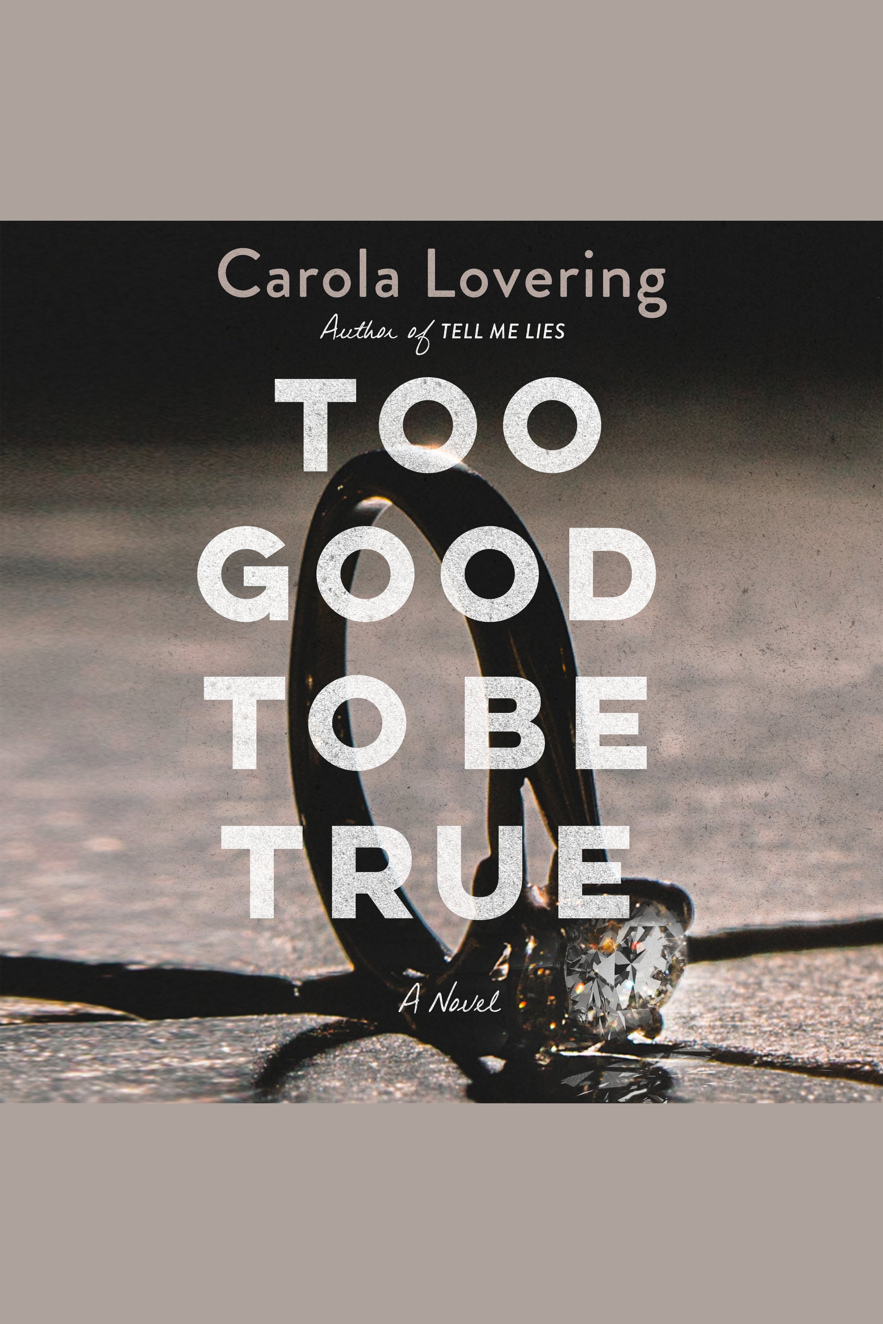Image de couverture de Too Good to Be True [electronic resource] : A Novel