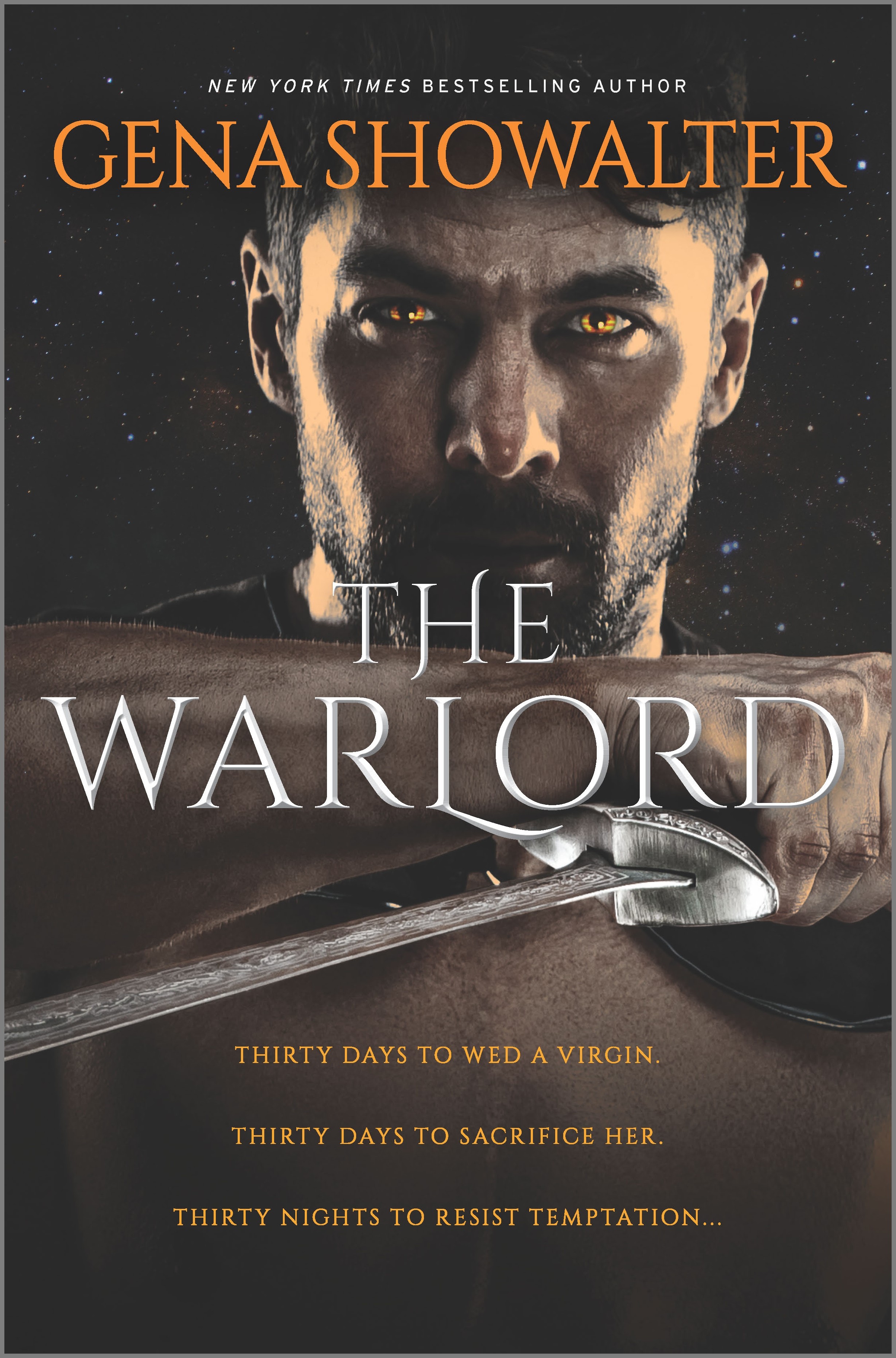 Cover image for The Warlord [electronic resource] : A Novel