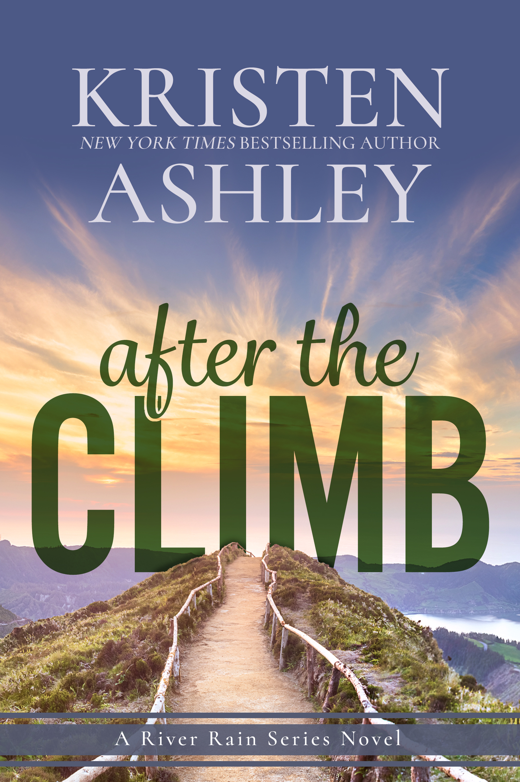 Cover image for After the Climb [electronic resource] :