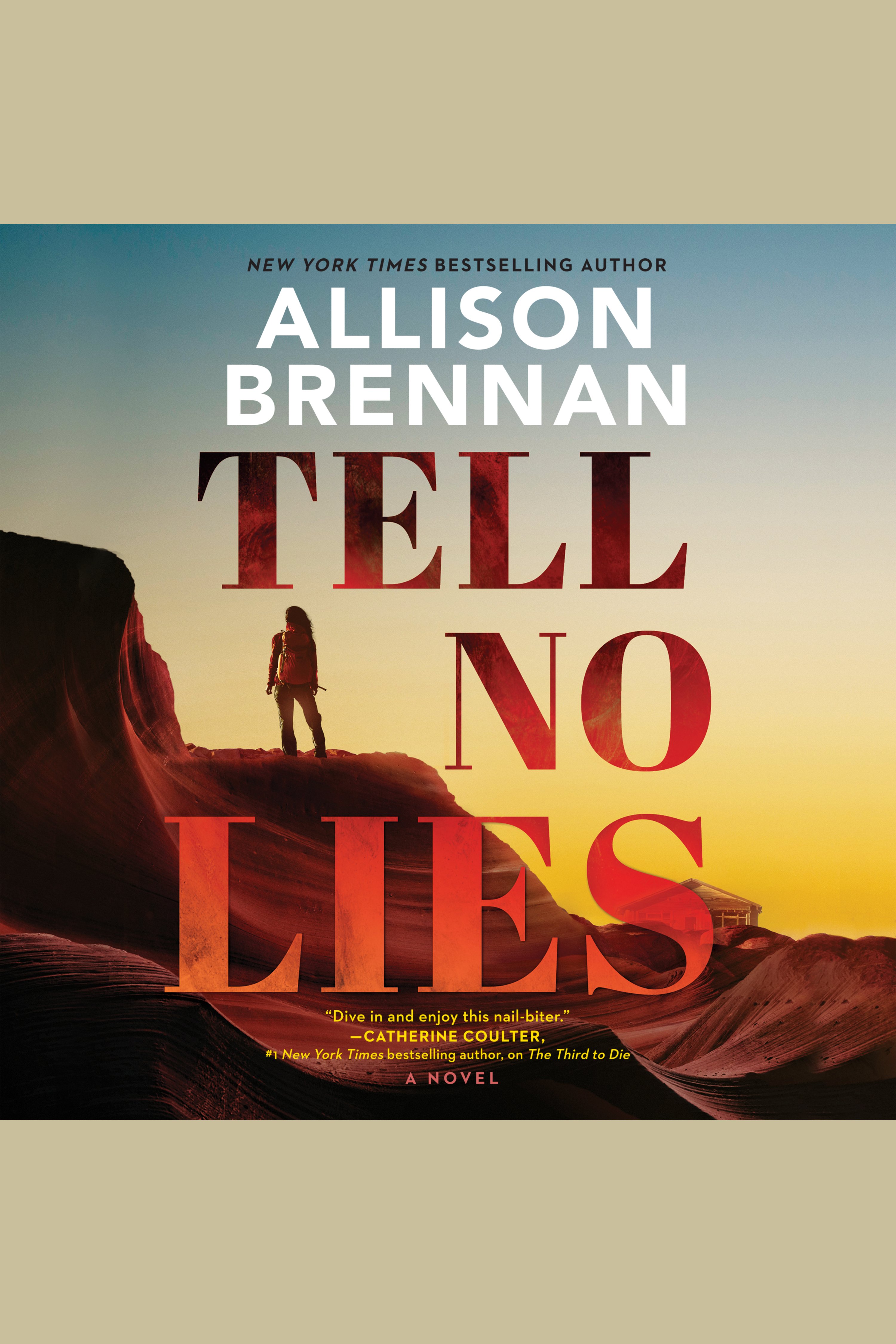 Cover image for Tell No Lies [electronic resource] :