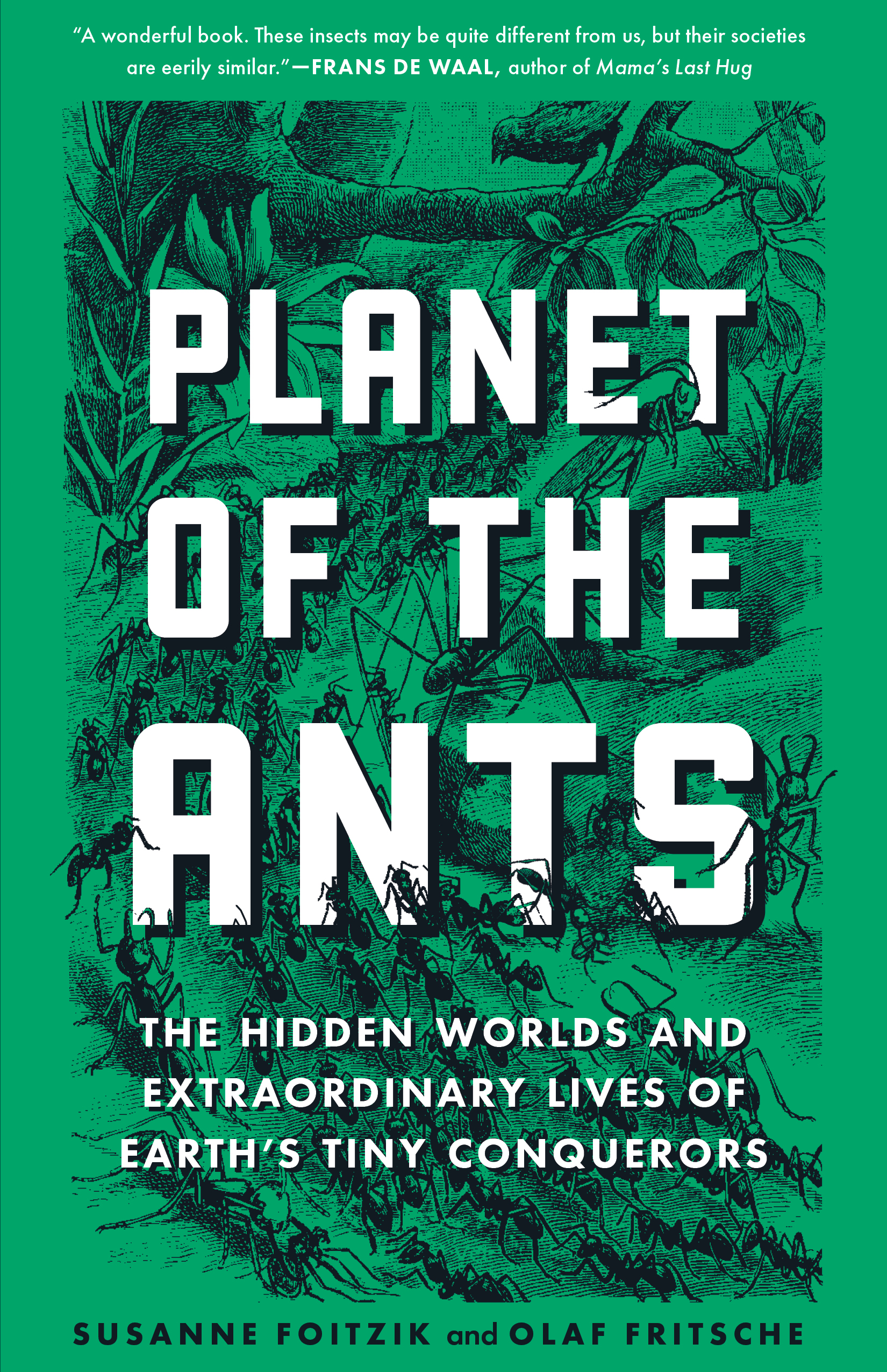Image de couverture de Empire of Ants [electronic resource] : The Hidden Worlds and Extraordinary Lives of Earth's Tiny Conquerors