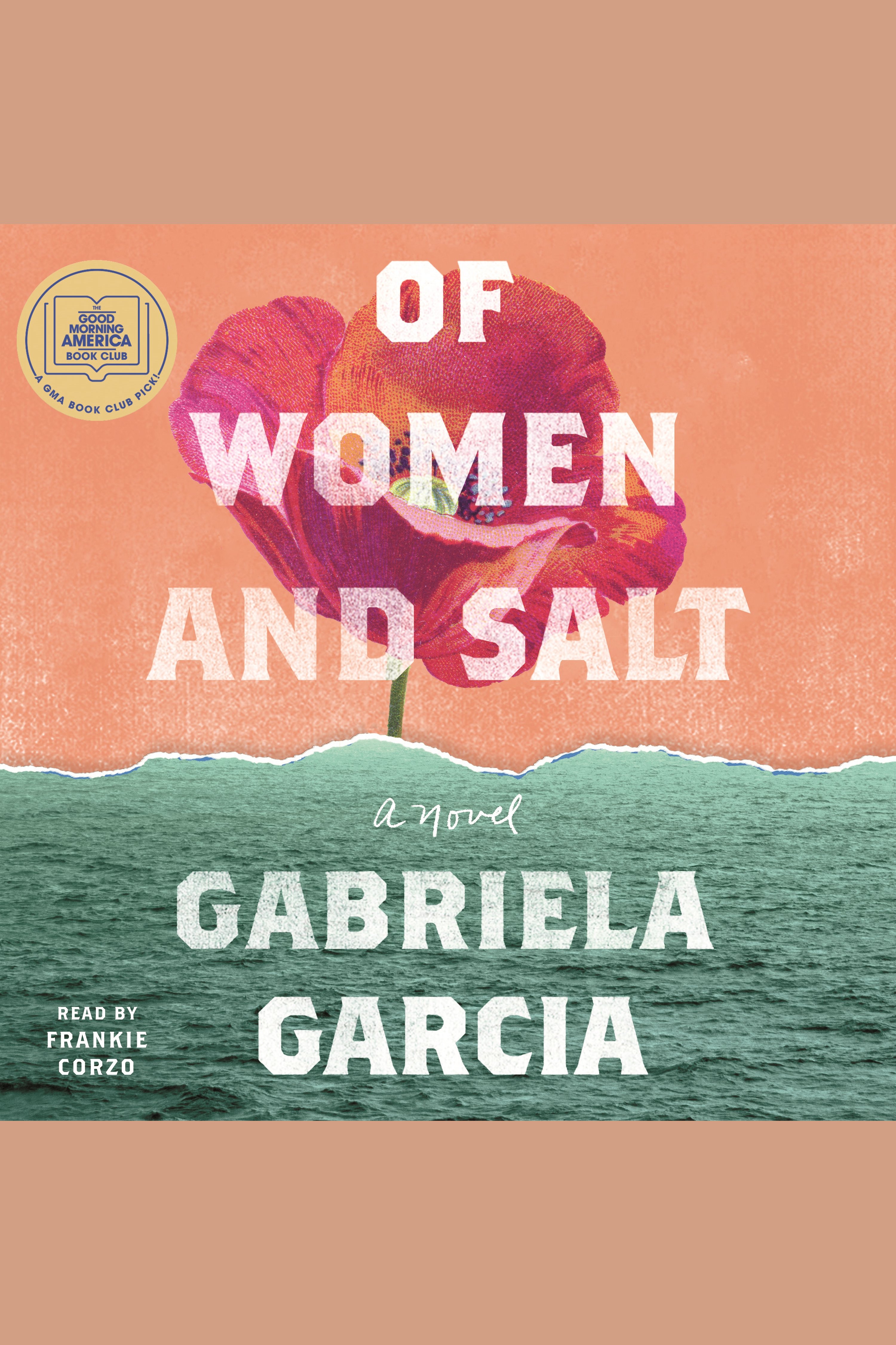 Image de couverture de Of Women and Salt [electronic resource] : A Novel