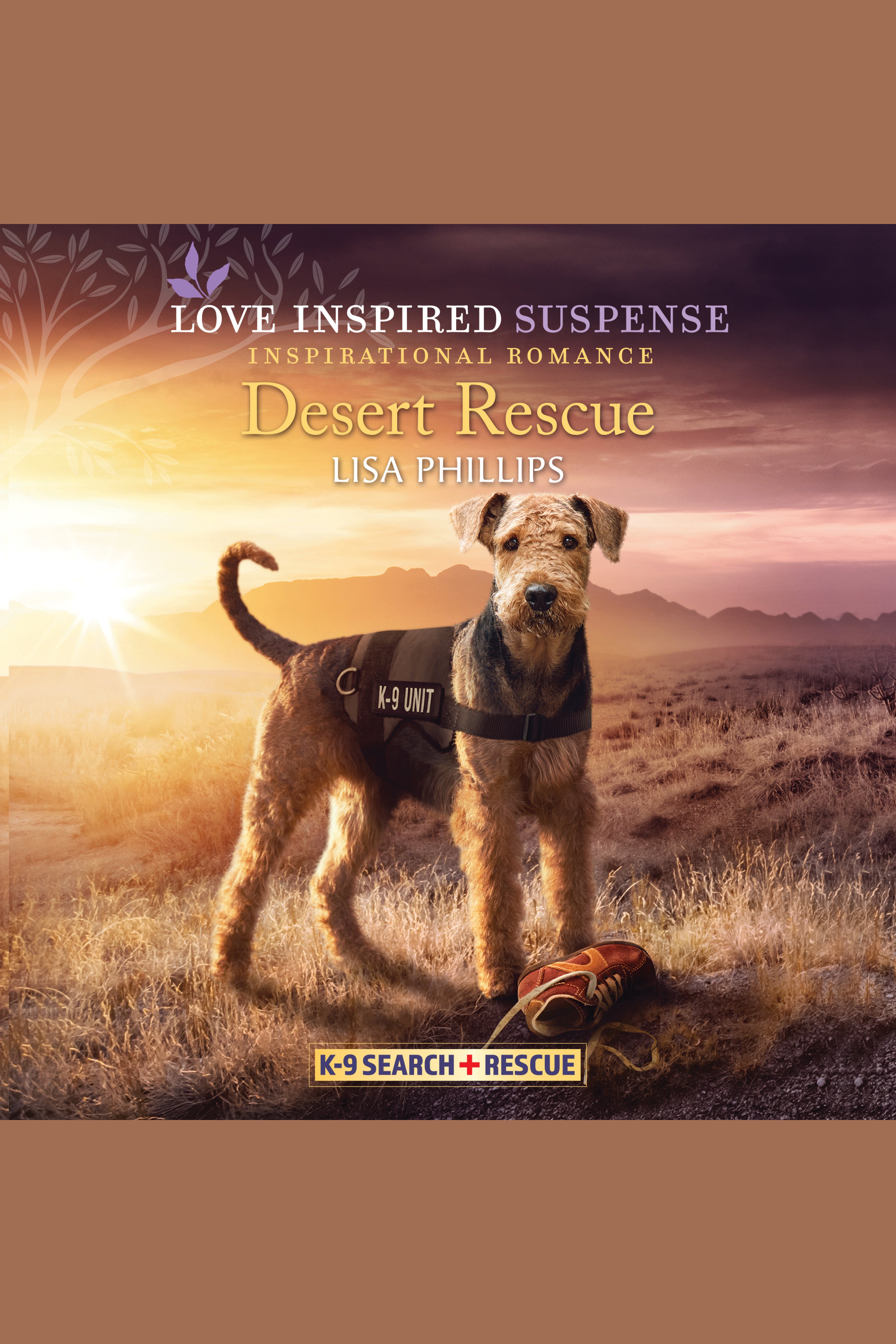 Umschlagbild für Desert Rescue [electronic resource] :