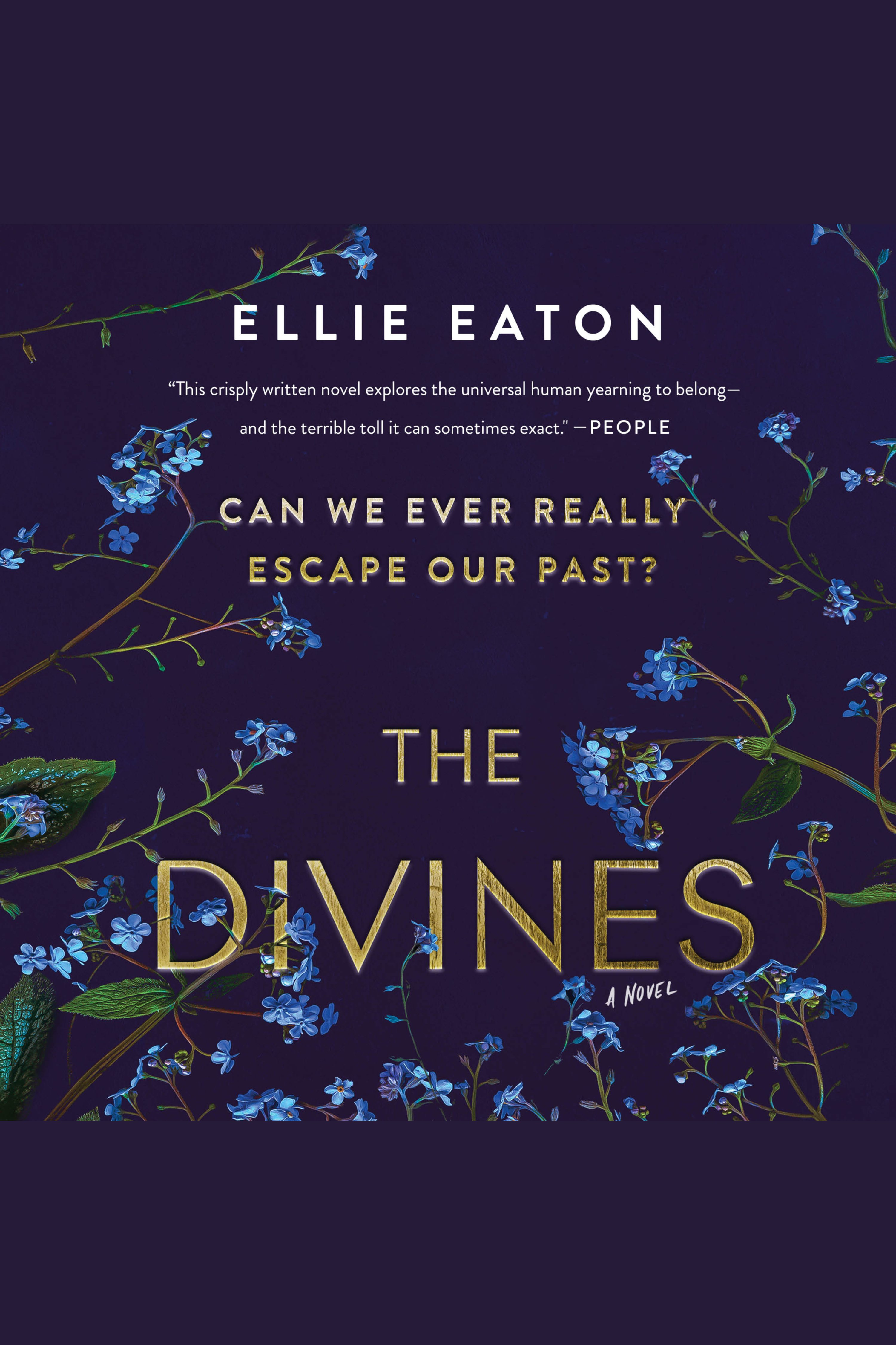 Image de couverture de Divines, The [electronic resource] : A Novel