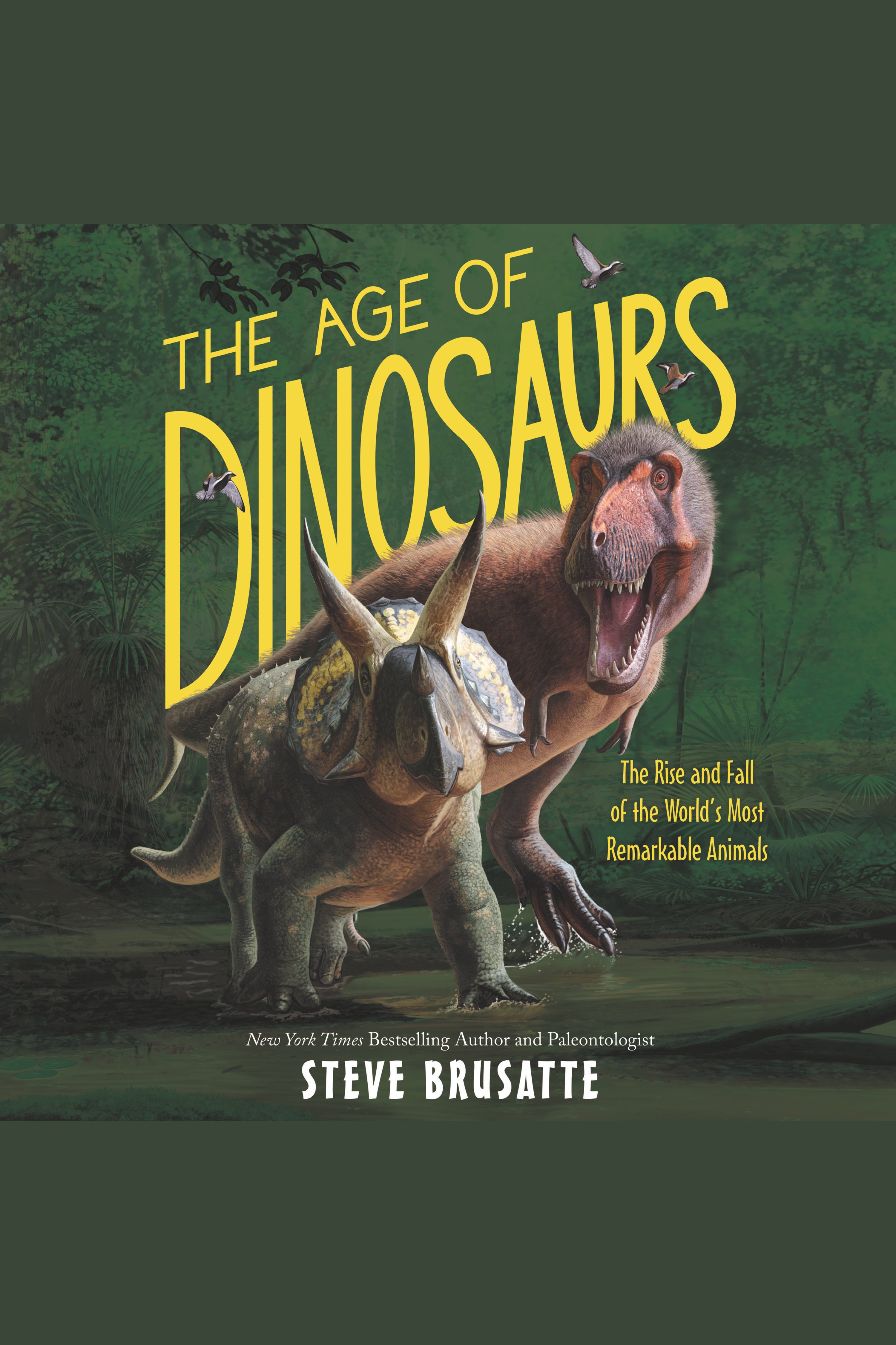 Cover image for Age of Dinosaurs, The [electronic resource] : The Rise and Fall of the World's Most Remarkable Animals