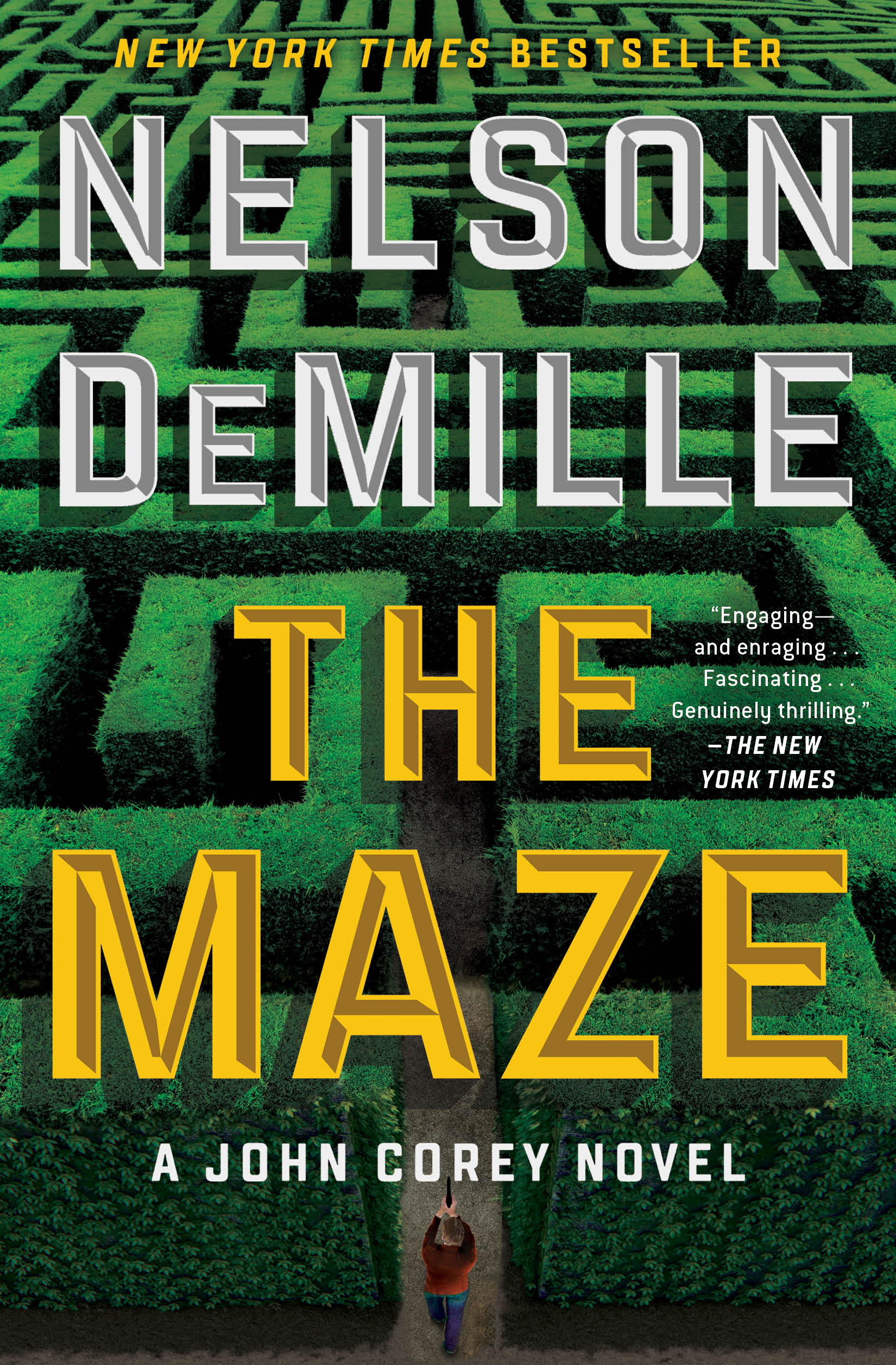 The Maze cover image