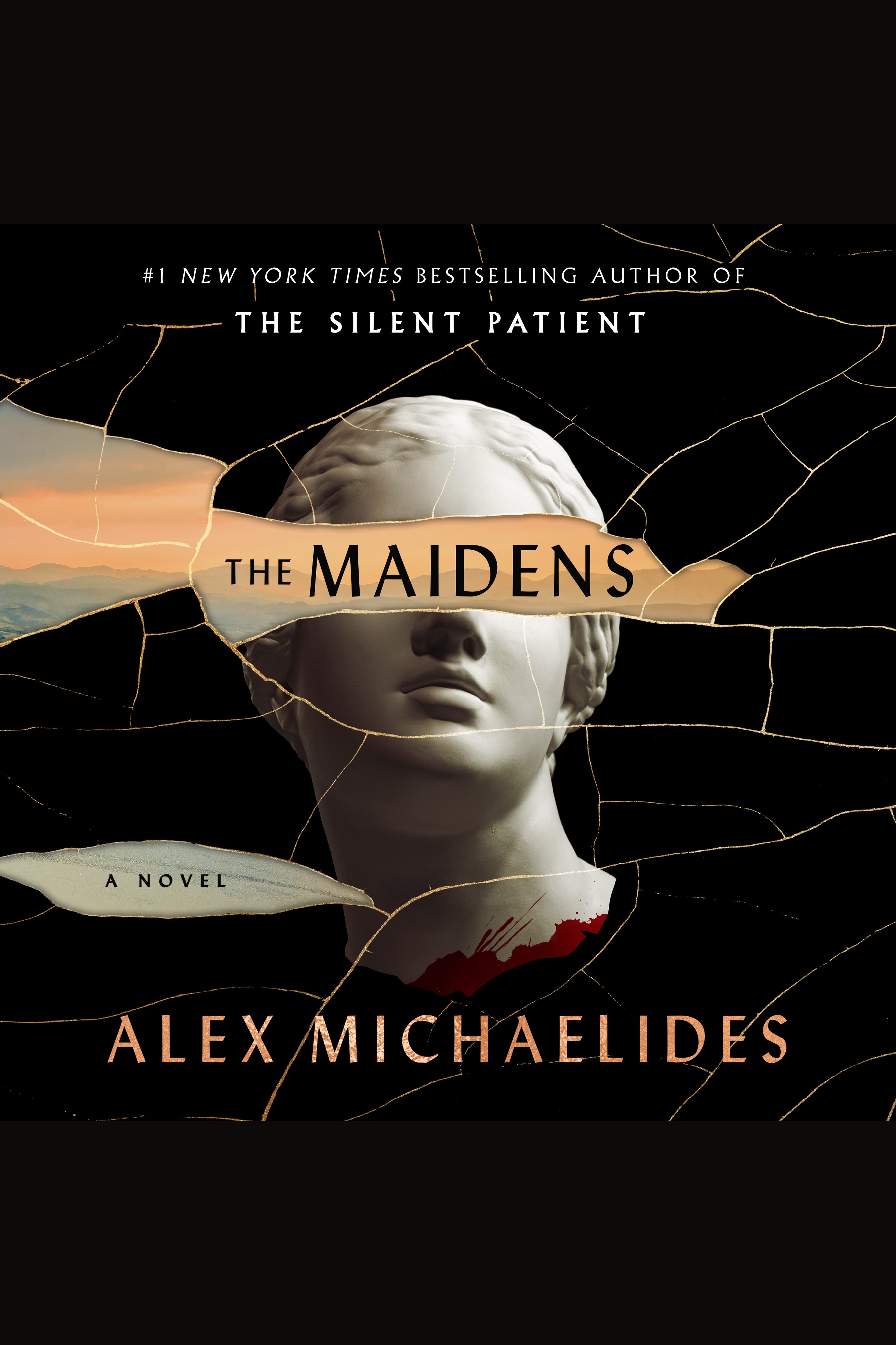 Cover Image of The Maidens