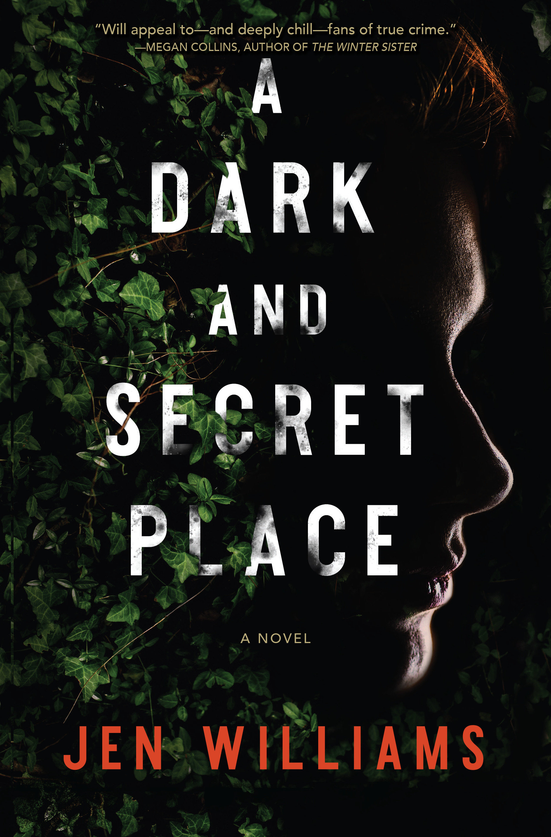 Image de couverture de A Dark and Secret Place [electronic resource] : A Thriller
