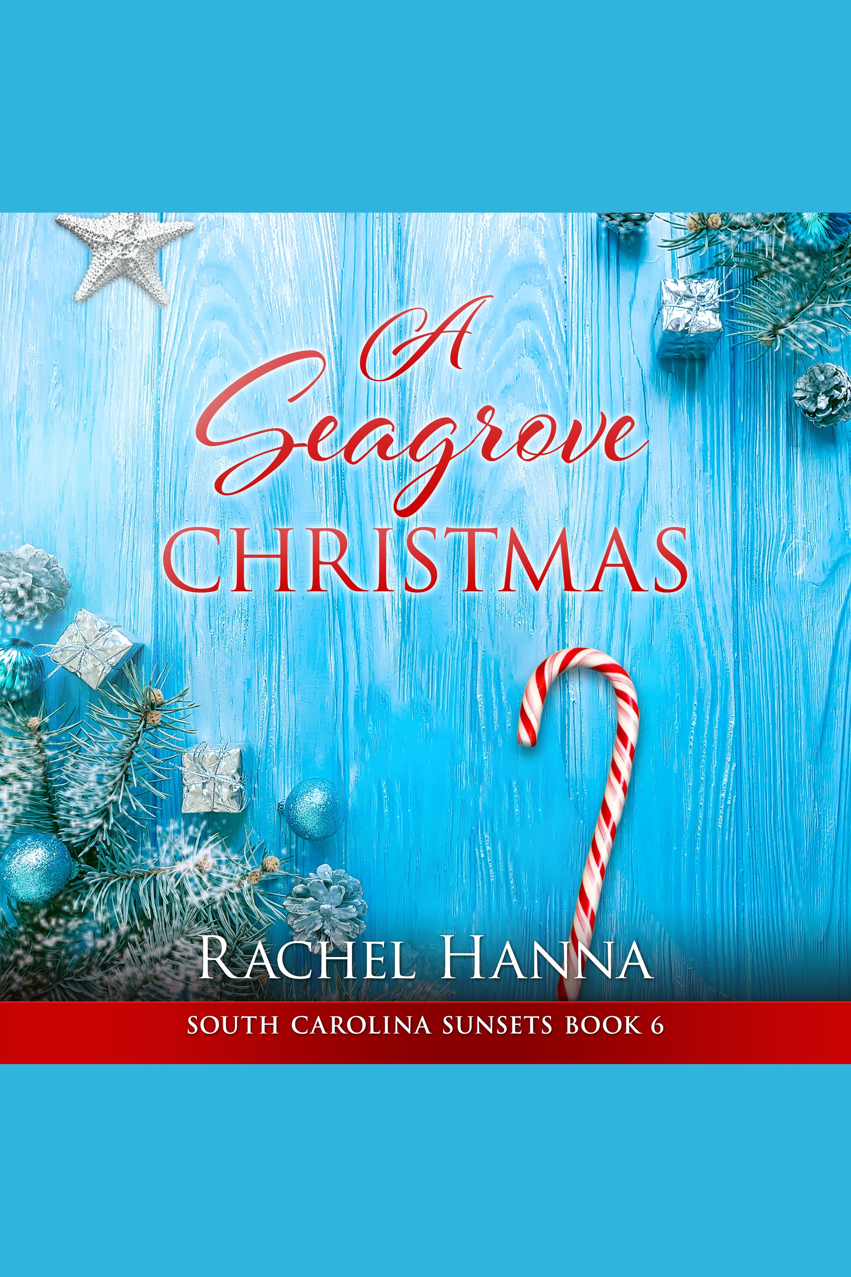 Umschlagbild für Seagrove Christmas, A [electronic resource] :