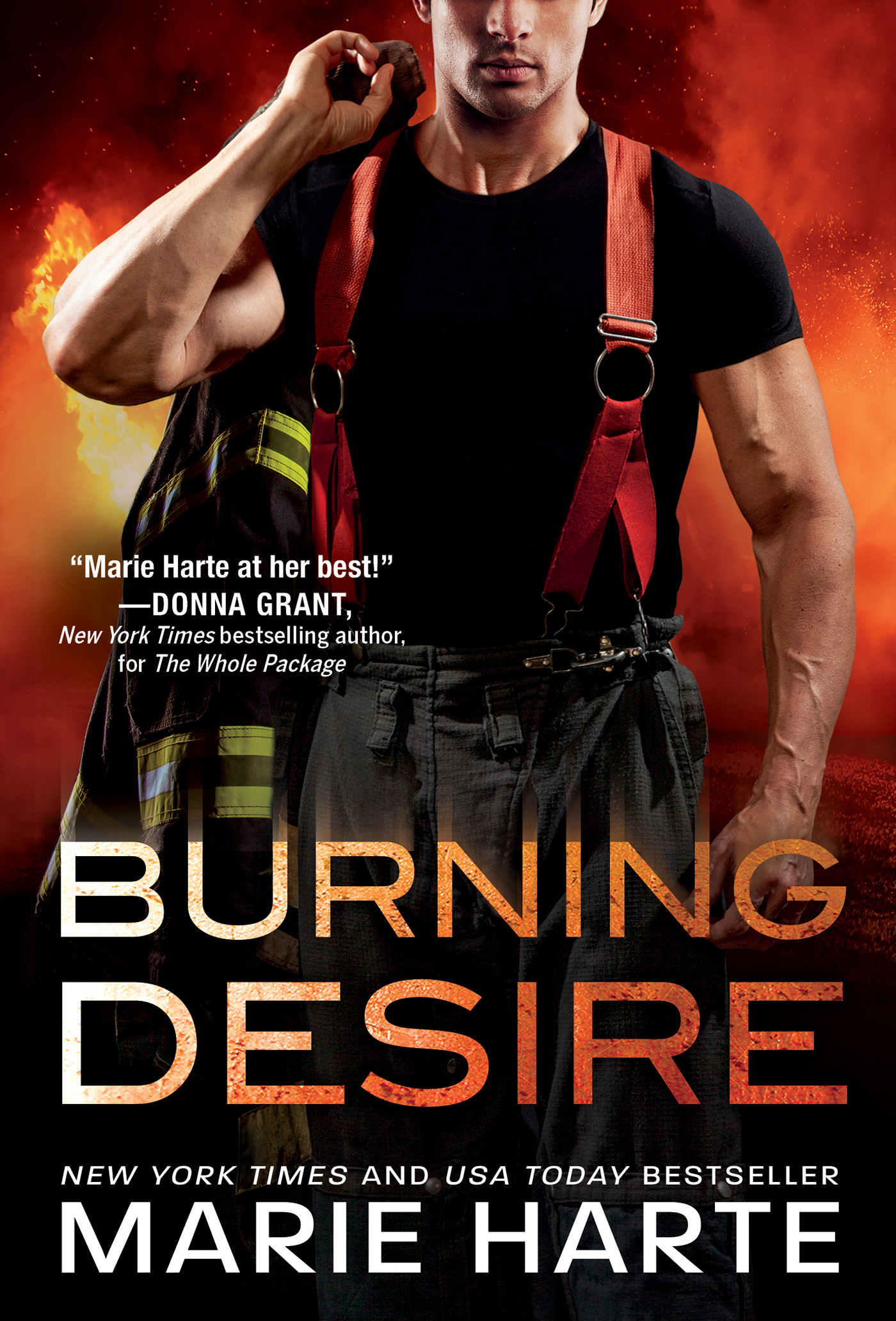 Cover image for Burning Desire [electronic resource] :