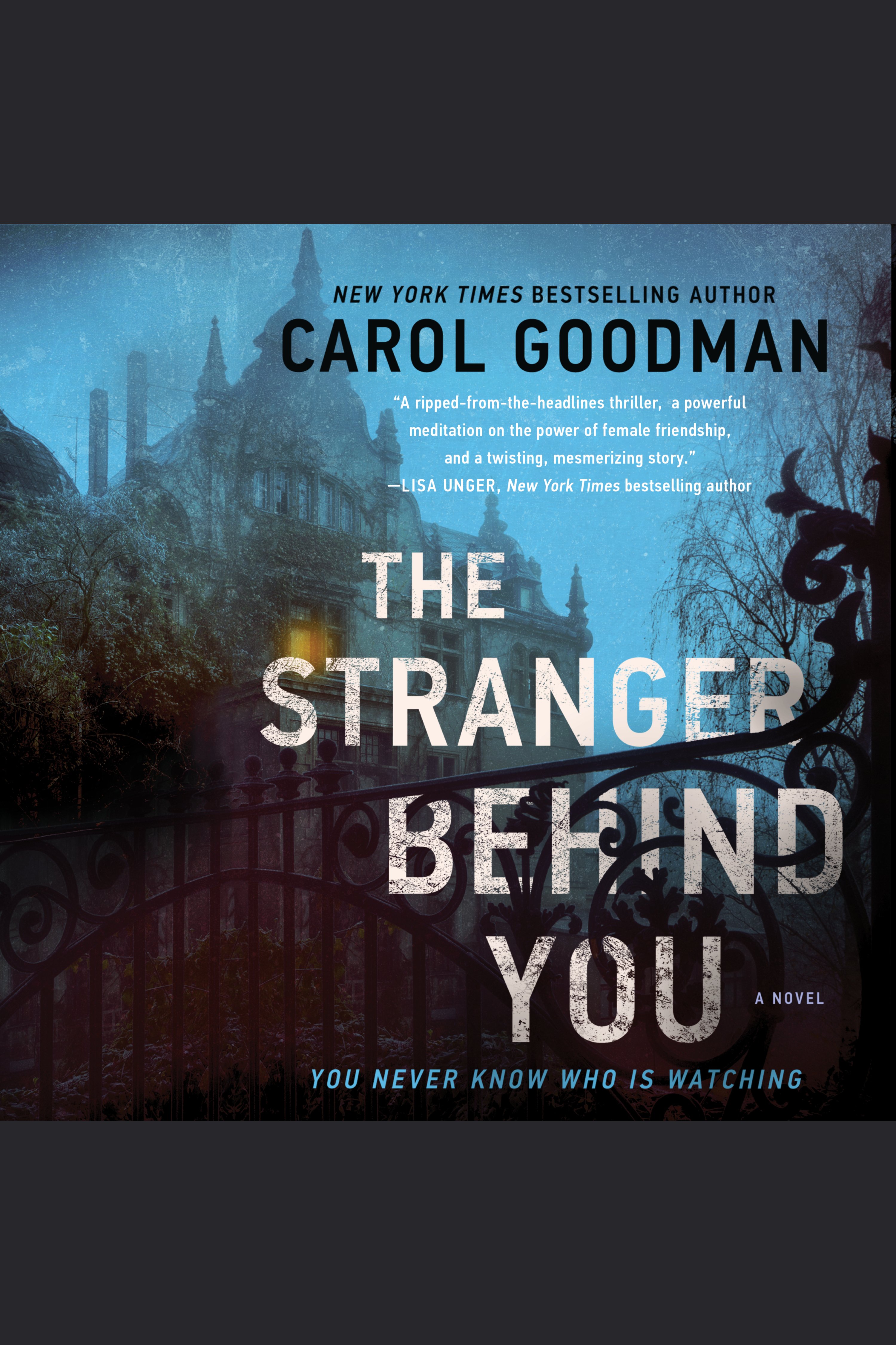 Cover image for The Stranger Behind You [electronic resource] : A Novel