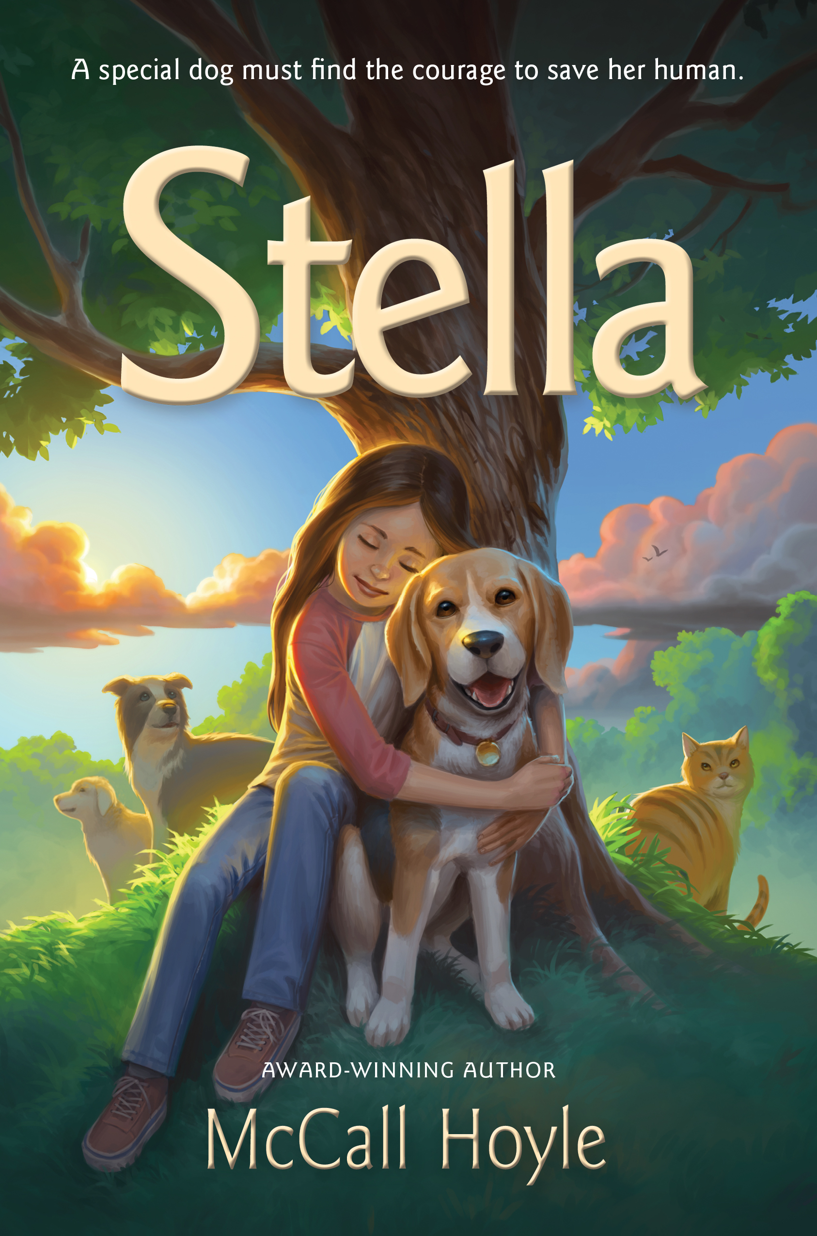 Cover image for Stella [electronic resource] :