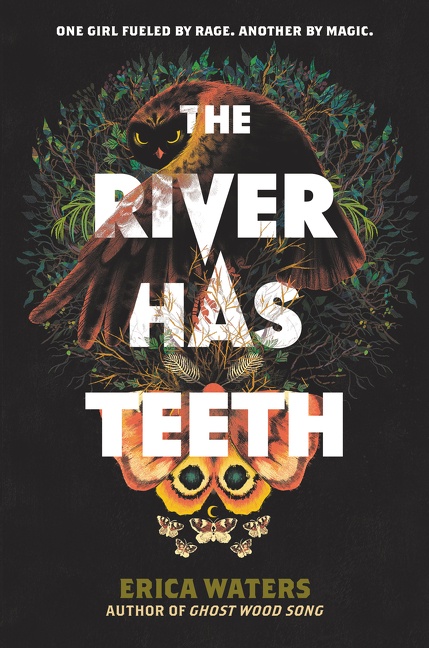 The River Has Teeth cover image